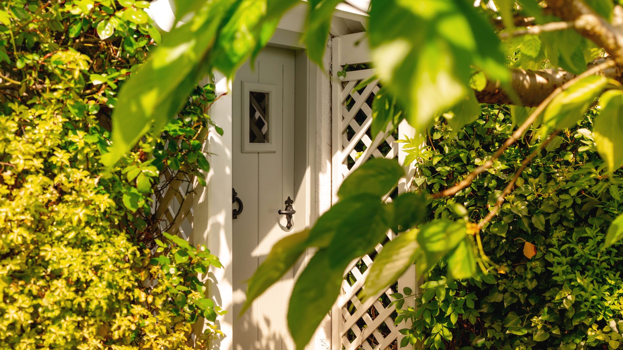 A secluded white door with a brass knocker, partially obscured by lush green foliage and framed by a white lattice, in a garden setting.