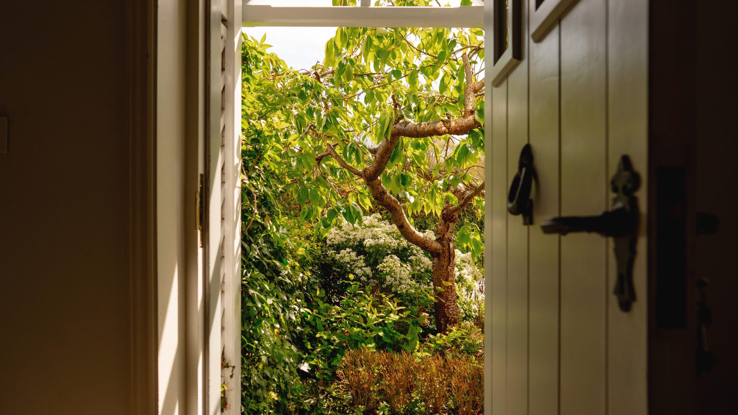 View from an open door leading to a lush garden with bright sunlight shining on green foliage and trees, visible through a white door frame.