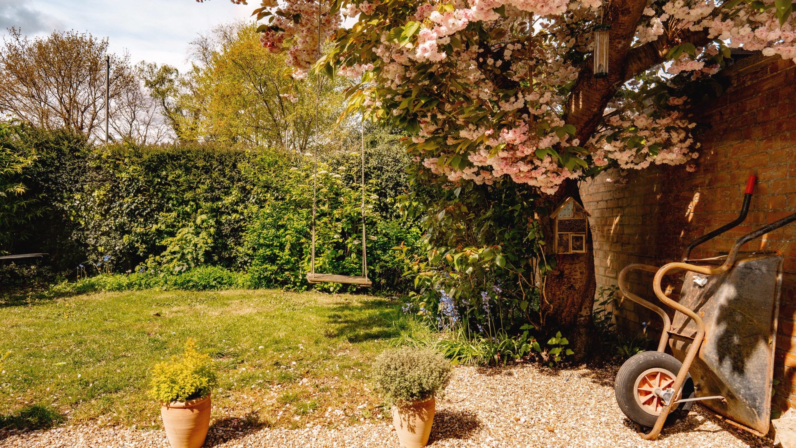 A serene garden with a lush pink-flowering tree overhanging a wooden swing. nearby, a wheelbarrow leans against a brick wall beside potted plants. bright sunlight illuminates the verdant grass and foliage.