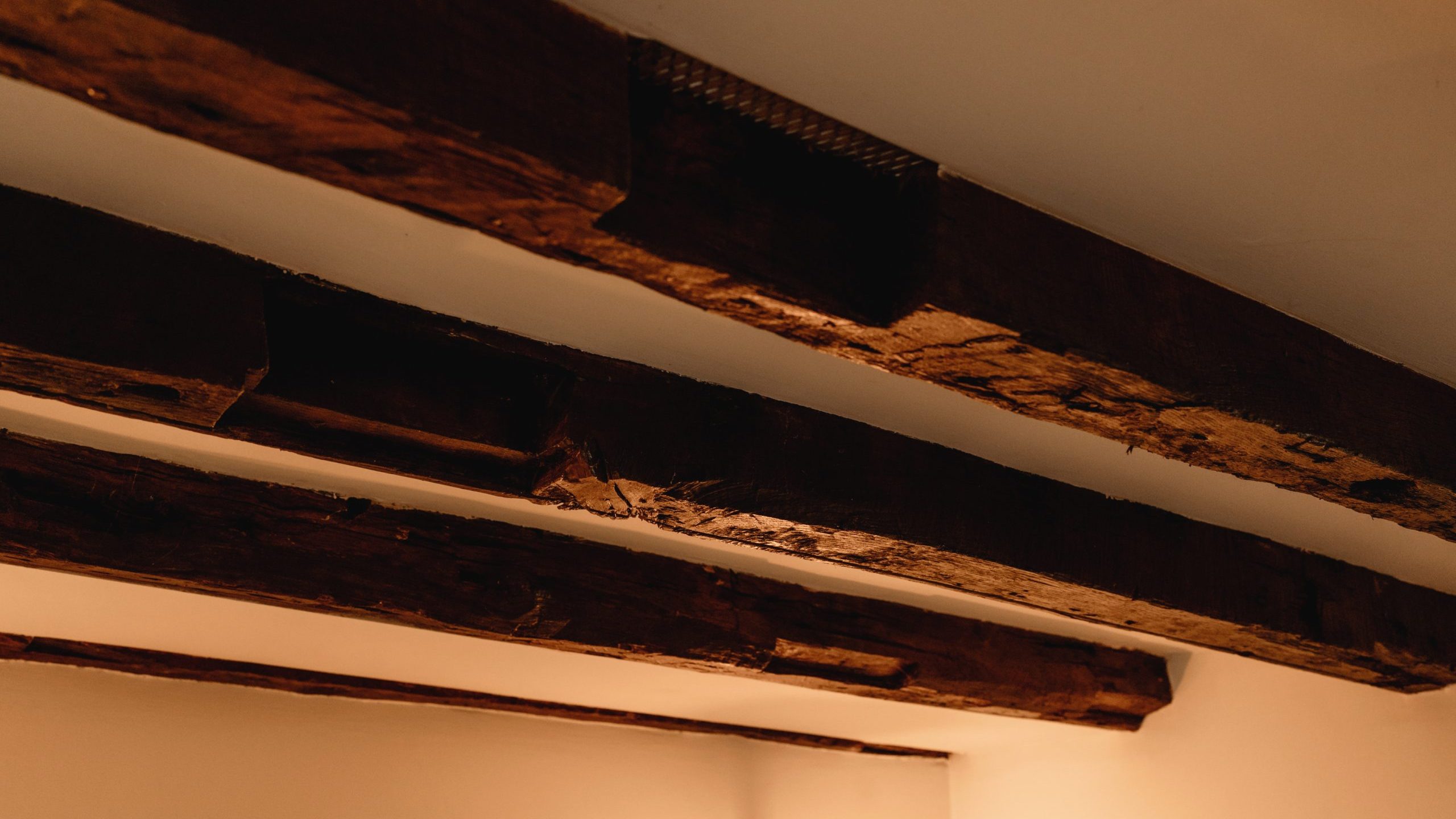 Wooden beams on a ceiling, showing signs of aging and wear. the dark wood contrasts with the lighter ceiling, and cobwebs are visible between the beams.