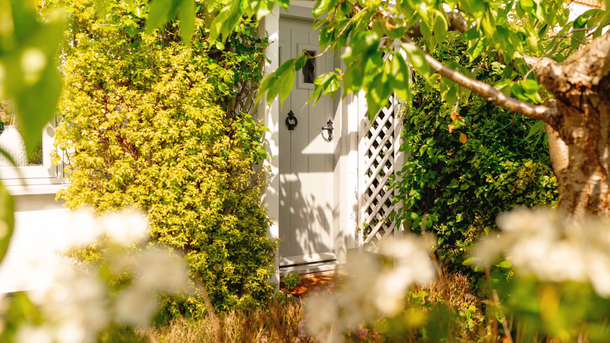 A quaint garden shed with a white door and trellis, partially hidden by lush green foliage and dappled sunlight, creating a serene, picturesque setting.