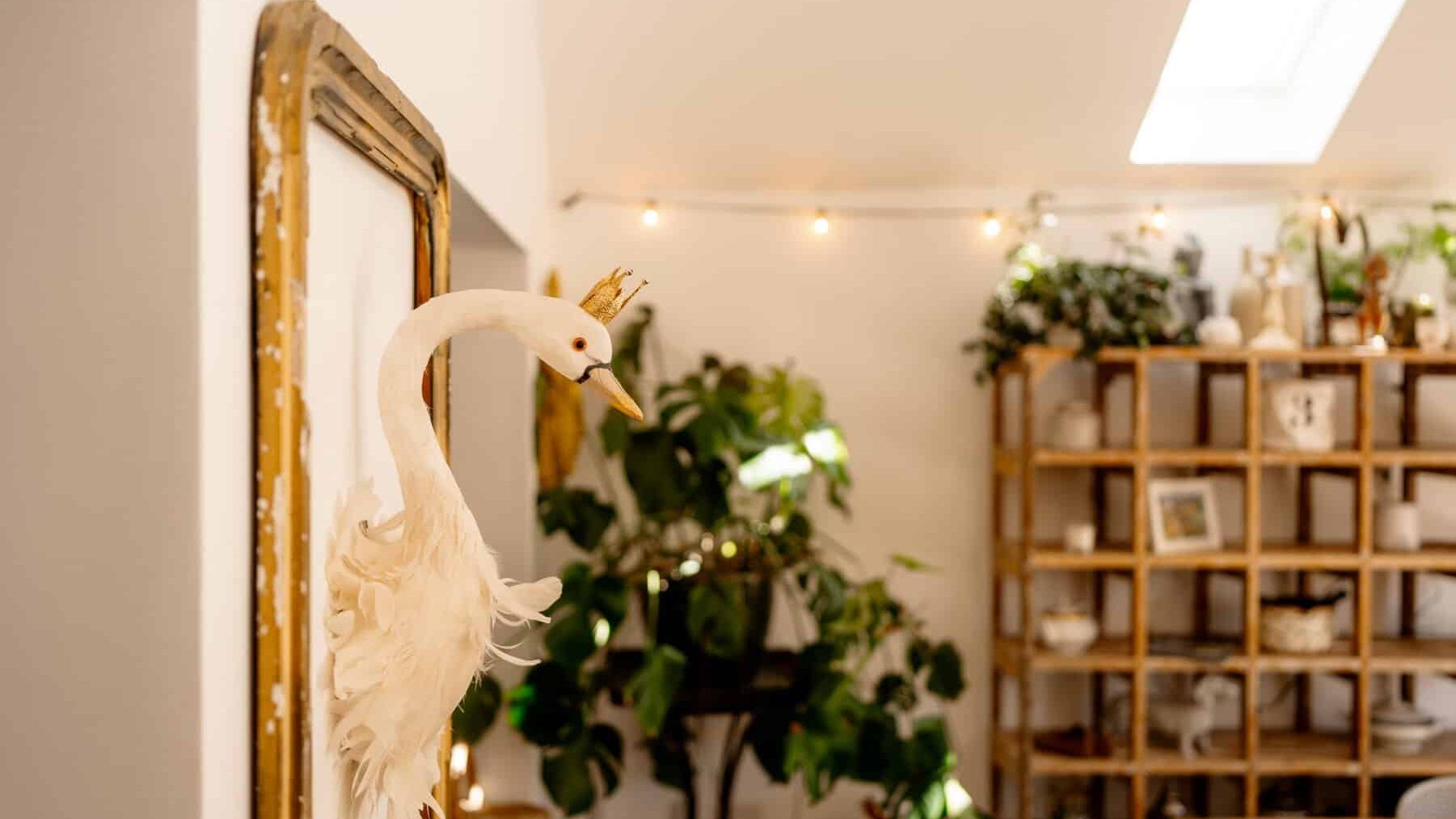 A decorated artificial swan with a golden crown in a cozy room with string lights, plants, and shelves filled with various items, reflecting in a large, leaning mirror.
