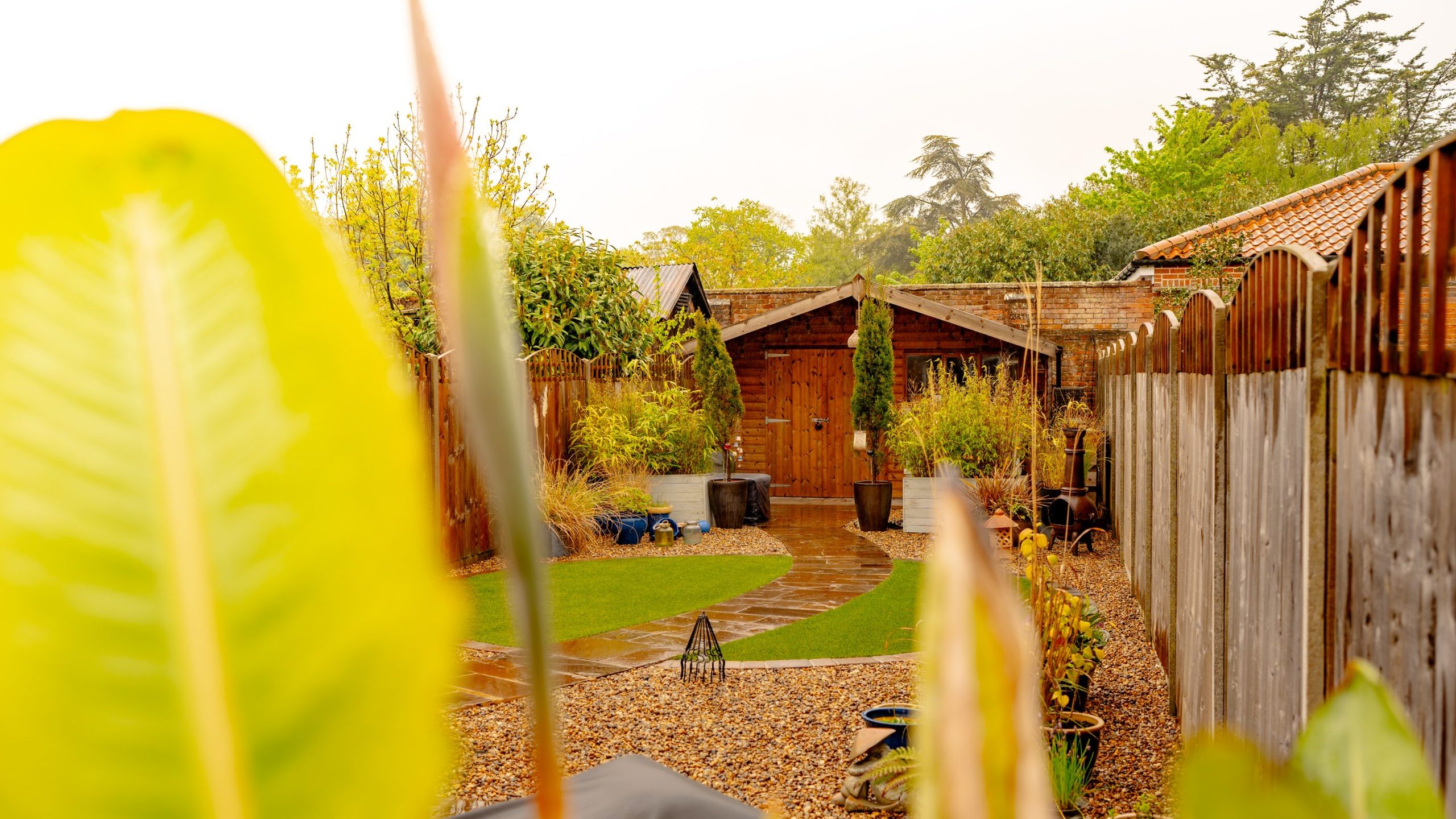 A vibrant garden with lush greenery, pebbled path, wooden shed, and fence, viewed between large tropical leaves on a misty day.