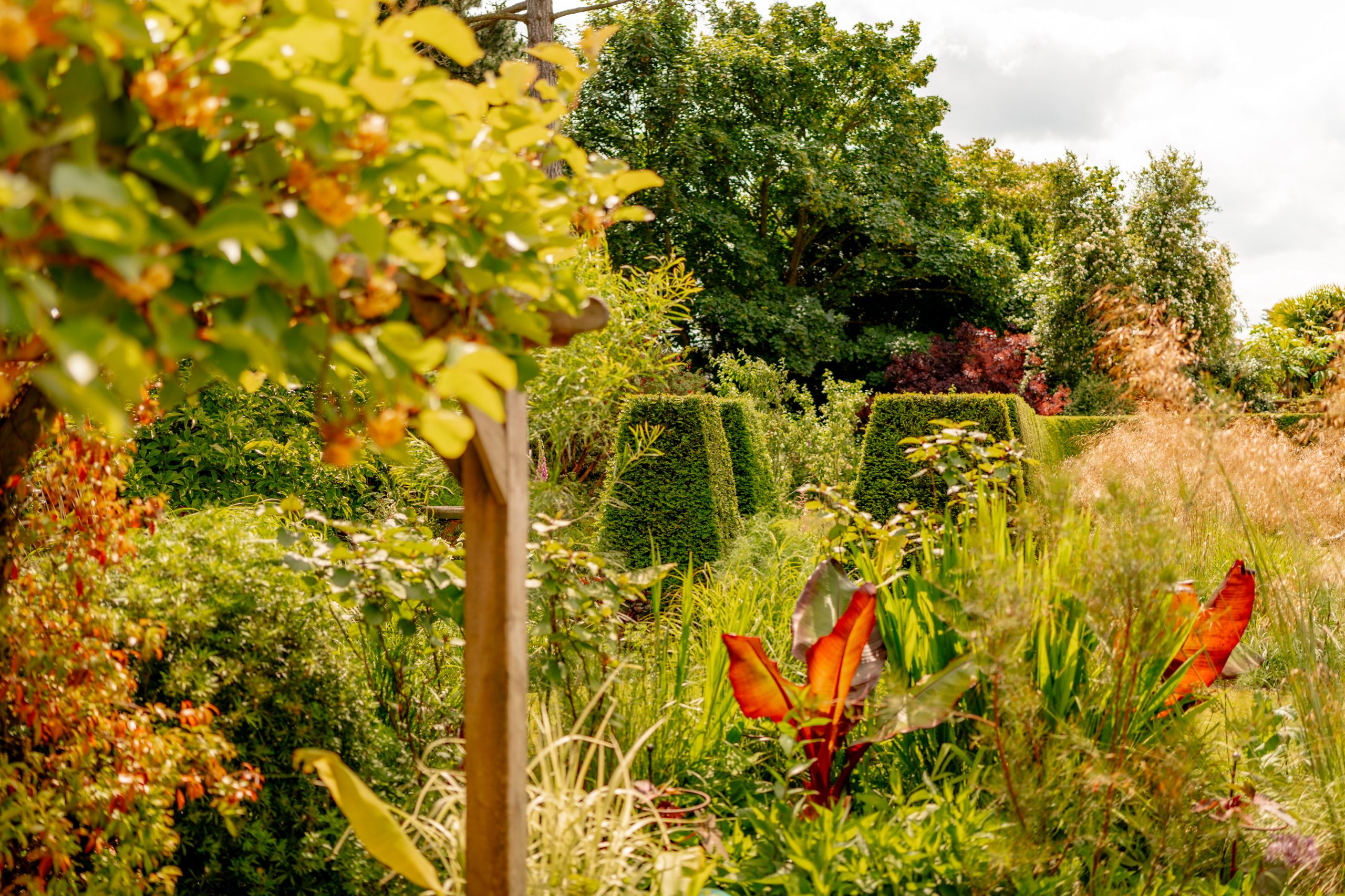A vibrant, lush garden featuring a mix of colorful flowers, green shrubbery, and various plants. In the foreground, large, red leaves stand out amidst the greenery. Trees and a trimmed hedge form the background beneath a partly cloudy sky.