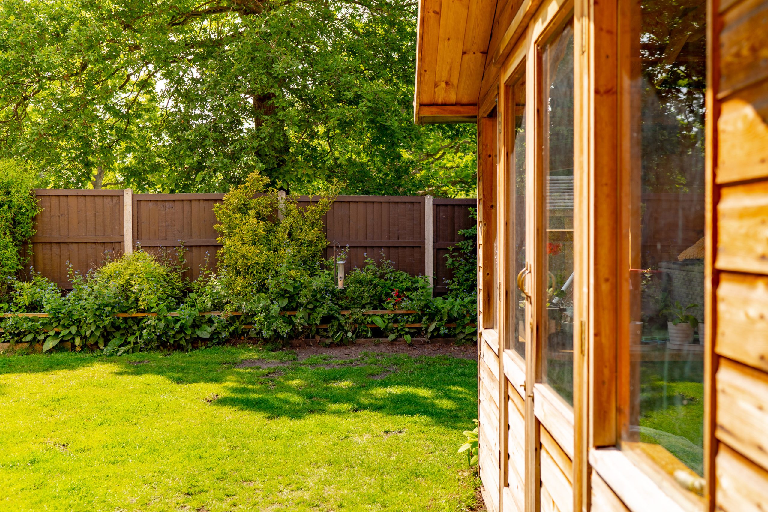 A lush garden with a brown wooden fence in the background. On the right side is a wooden shed with large windows reflecting sunlight. The yard has a well-maintained grassy lawn and various green plants along the fence.
