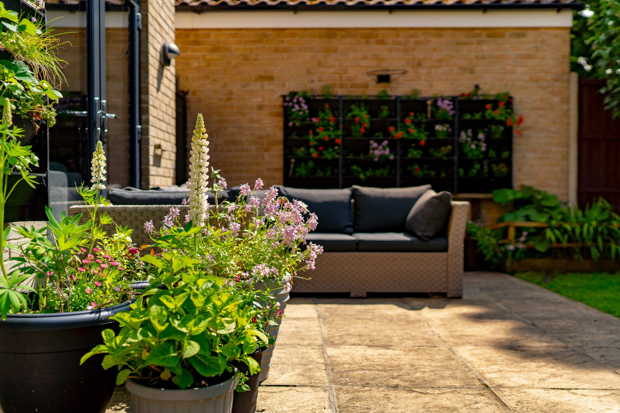 A sunlit patio with potted flowering plants in the foreground and an outdoor wicker sofa with cushions in the background, against a backdrop of a brick wall with a grid of hanging plants. The scene is serene and bright, suggesting a peaceful garden setting.