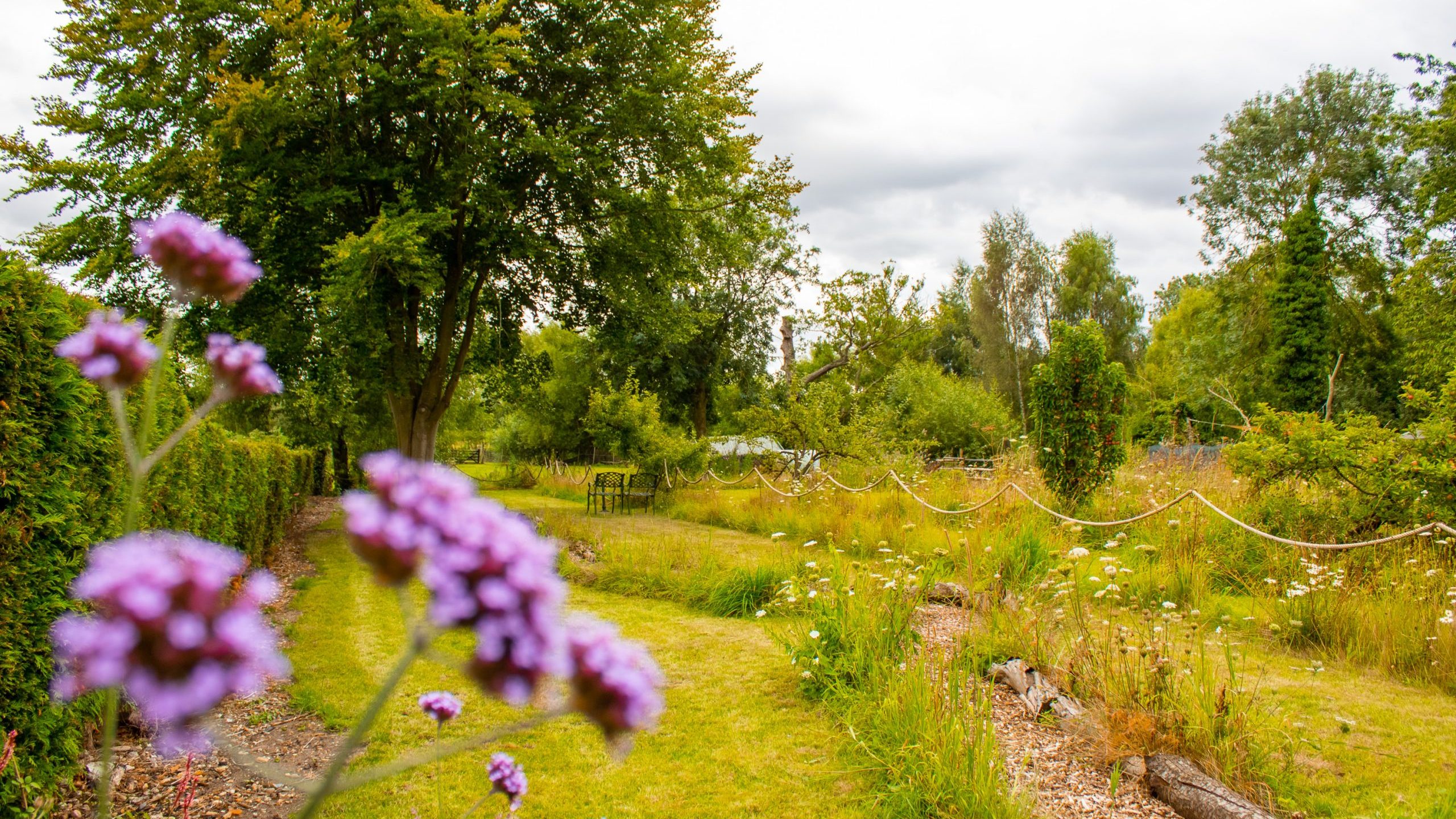 A serene garden scene with a winding grassy path, bordered by vibrant wildflowers and lush greenery. In the distance, there is a bench under a large tree, surrounded by natural foliage and a cloudy sky overhead.