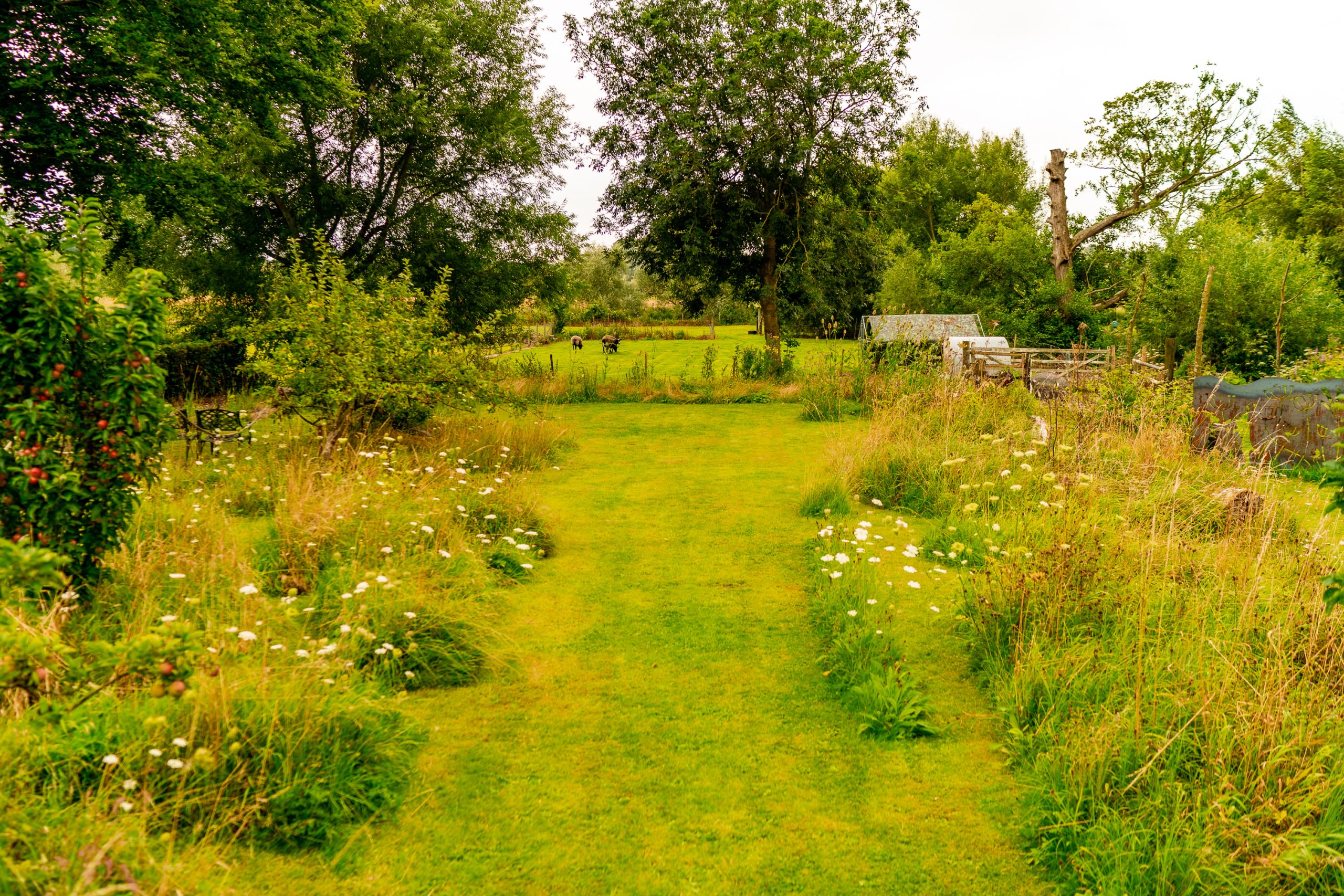 A lush green pathway winds through a vibrant countryside garden. Tall grasses and wildflowers with white blooms line both sides of the path. Trees and shrubs surround the area, creating a serene and natural atmosphere under an overcast sky.