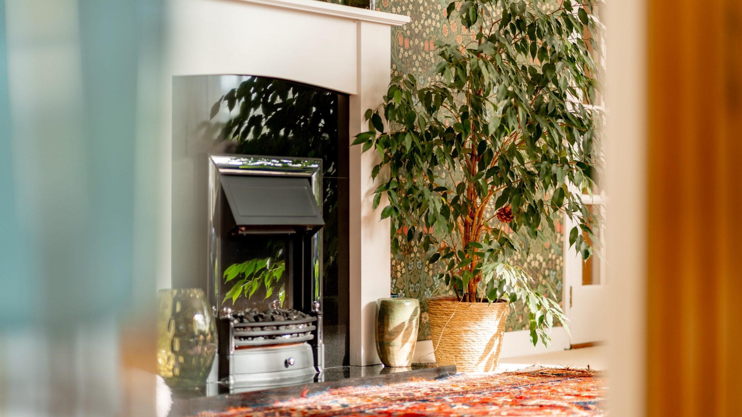 A cozy living room features a fireplace with a white mantel, surrounded by patterned wallpaper and a leafy potted plant. A colorful, textured rug covers the wooden floor, adding warmth and vibrancy to the space.