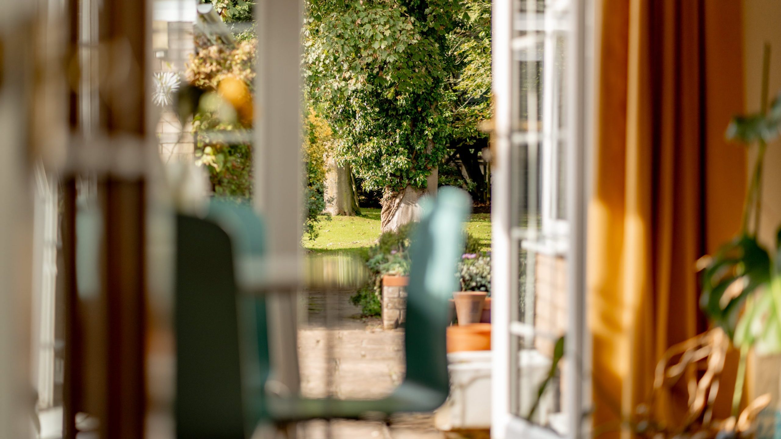 A sunlit room with an open door leads to a garden filled with green plants and trees. There's a blurred chair in the foreground and potted plants are visible outside, creating a serene indoor-outdoor space.