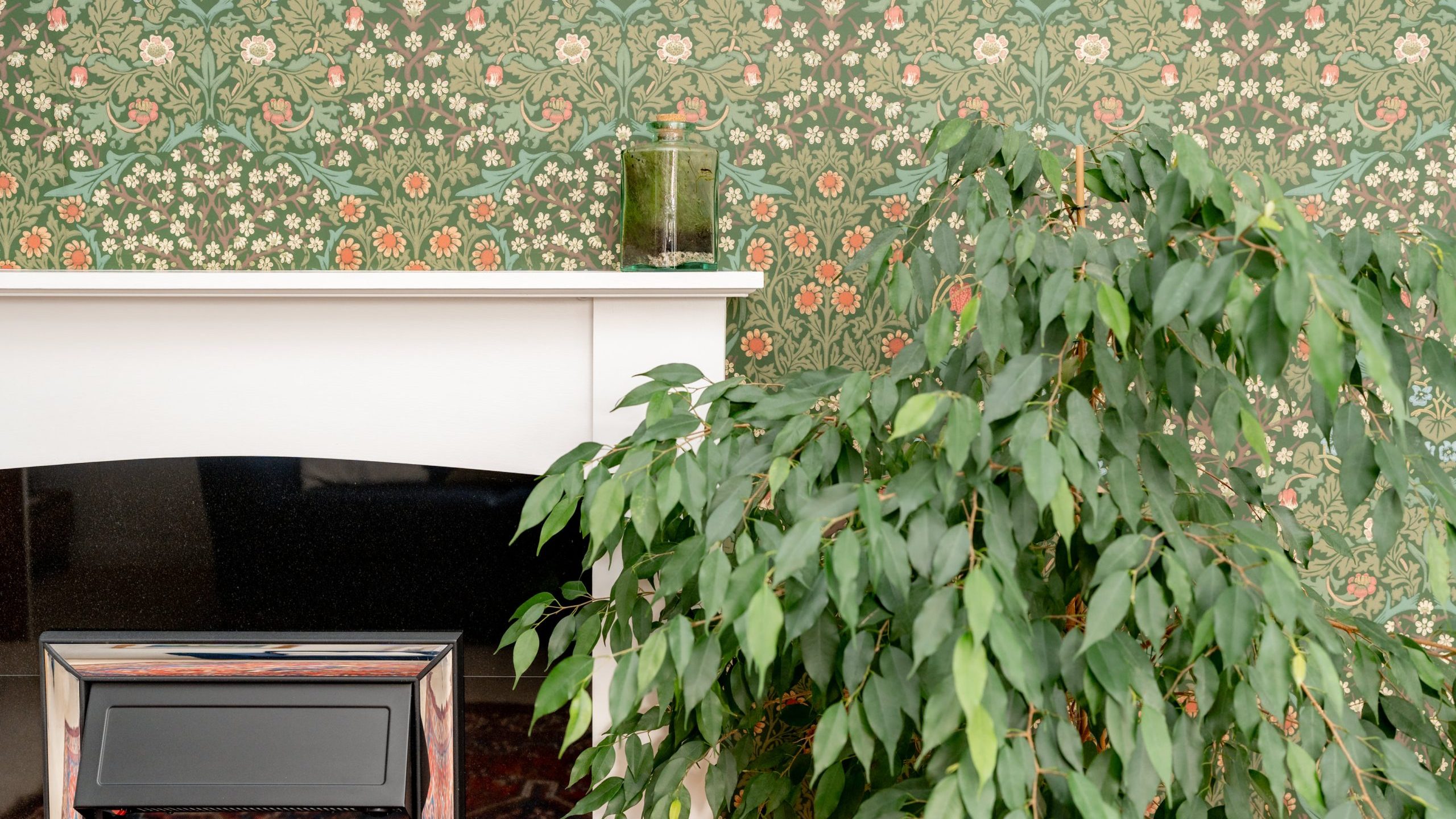 A leafy green plant stands beside a white fireplace. On the mantle is a small glass candle. The wall behind features a vintage floral wallpaper in green with red, white, and yellow flowers. A patterned rug is partially visible on the floor.