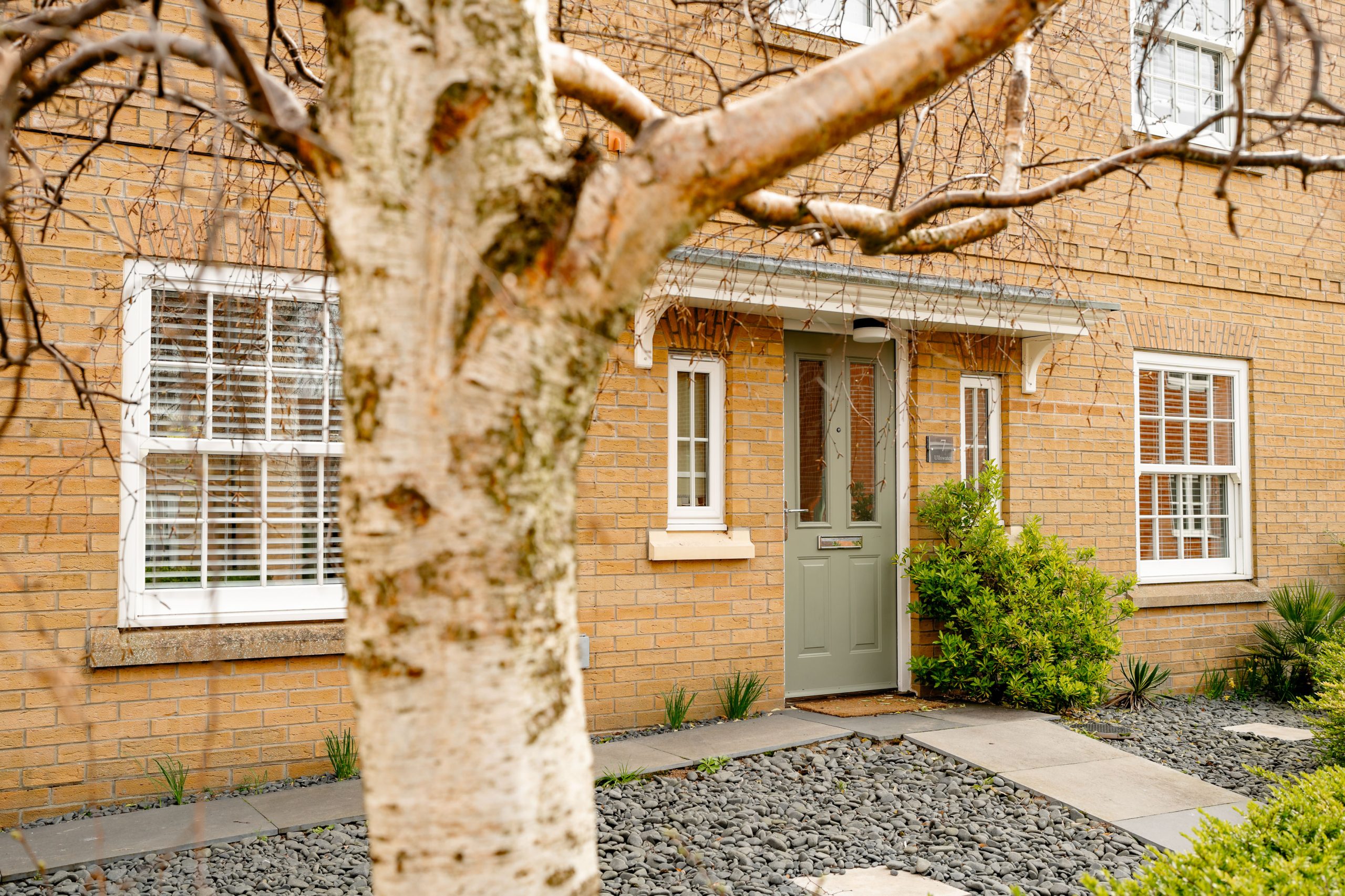 A view of a brick house with two white-framed windows and a green front door, partially obscured by a tree in the foreground. The yard is landscaped with gravel and small shrubs.