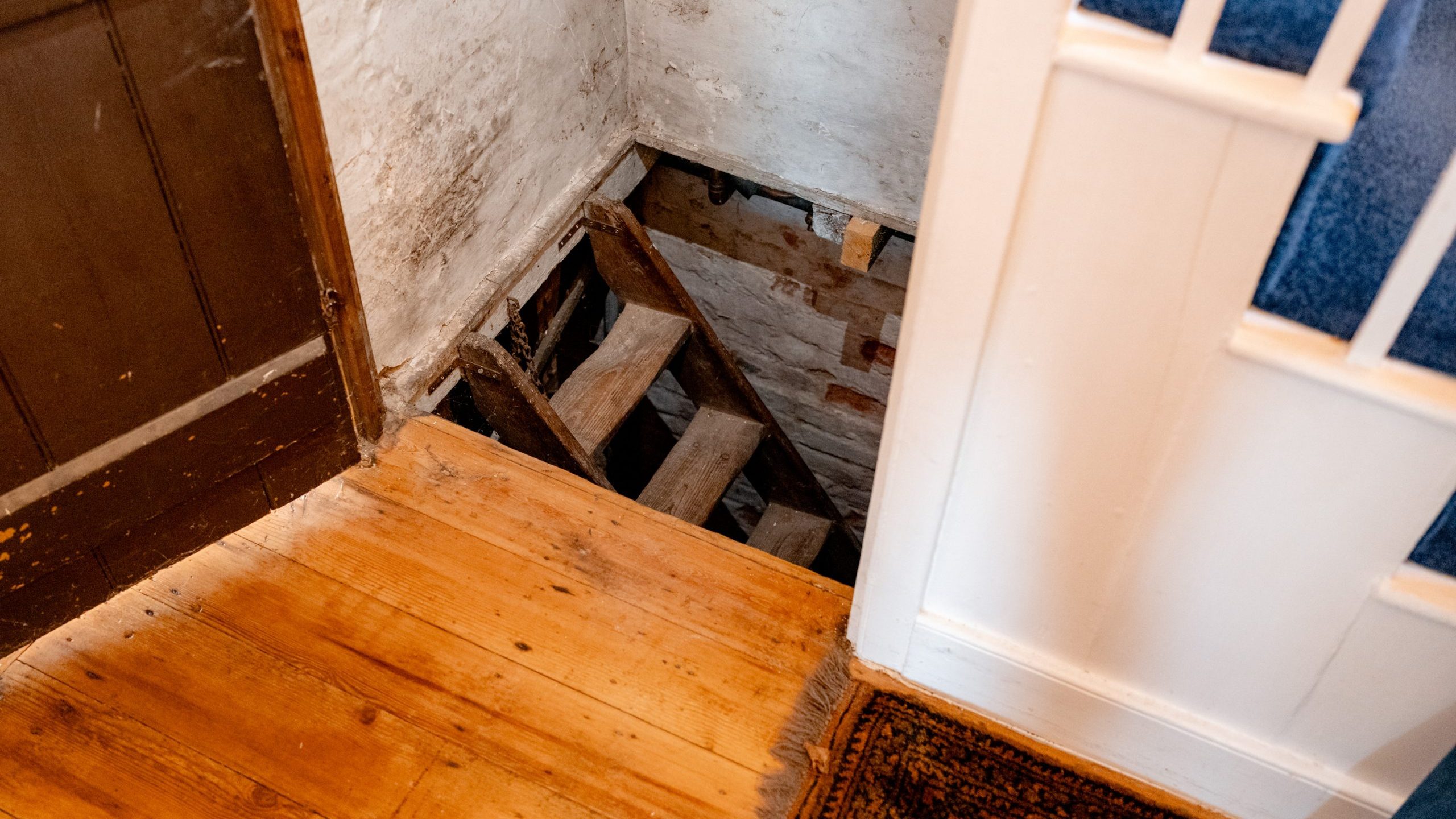 A wooden staircase leads down to a dimly lit basement. The stairs are surrounded by white and blue walls, with a wooden floor in the foreground and a patterned rug near the entrance.
