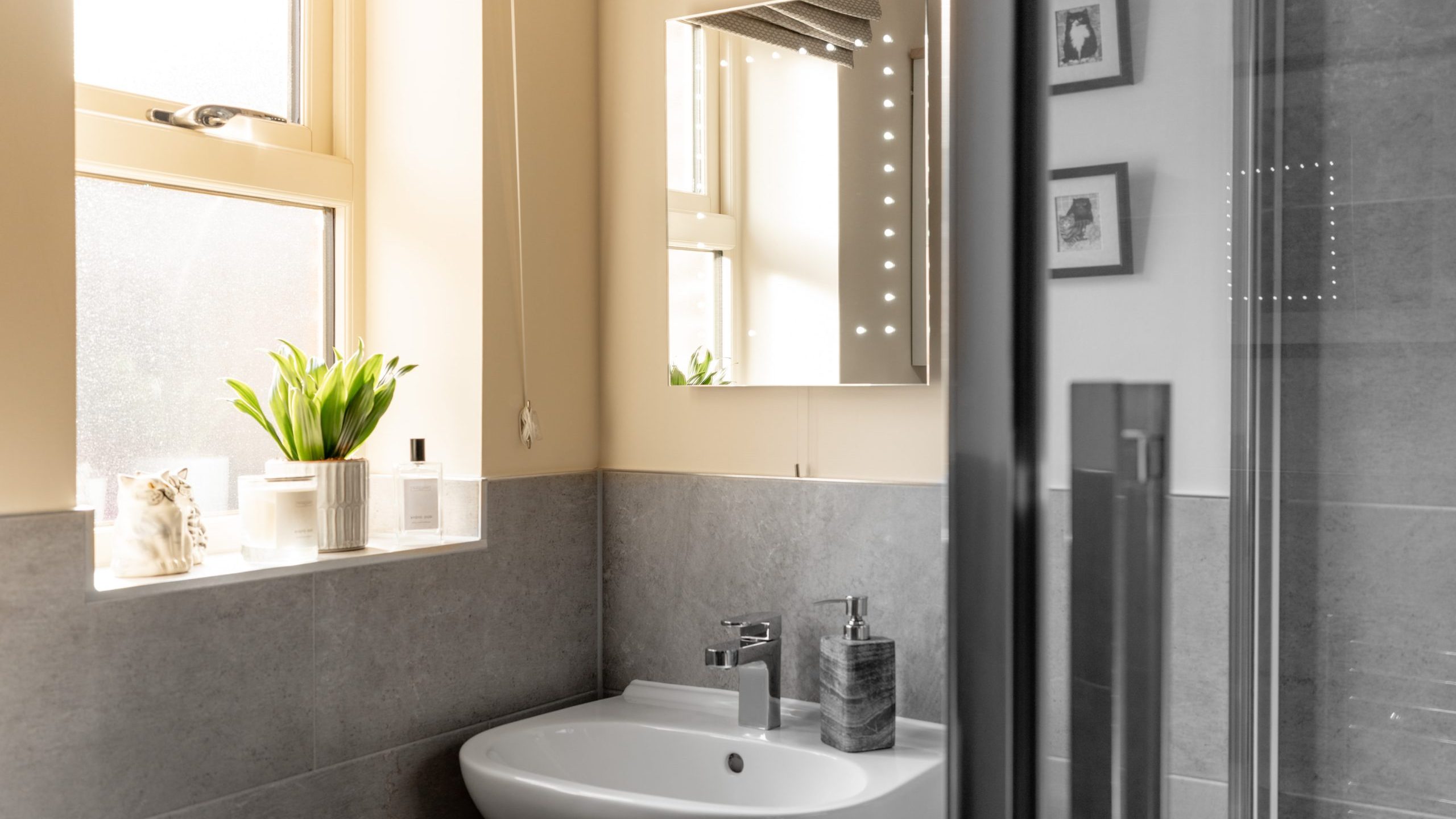 A modern bathroom with a gray-tiled wall features a white sink below a rectangular mirror. A window on the left has potted plants and toiletries on the windowsill. Framed pictures are on the wall to the right, with a glass shower panel in view.