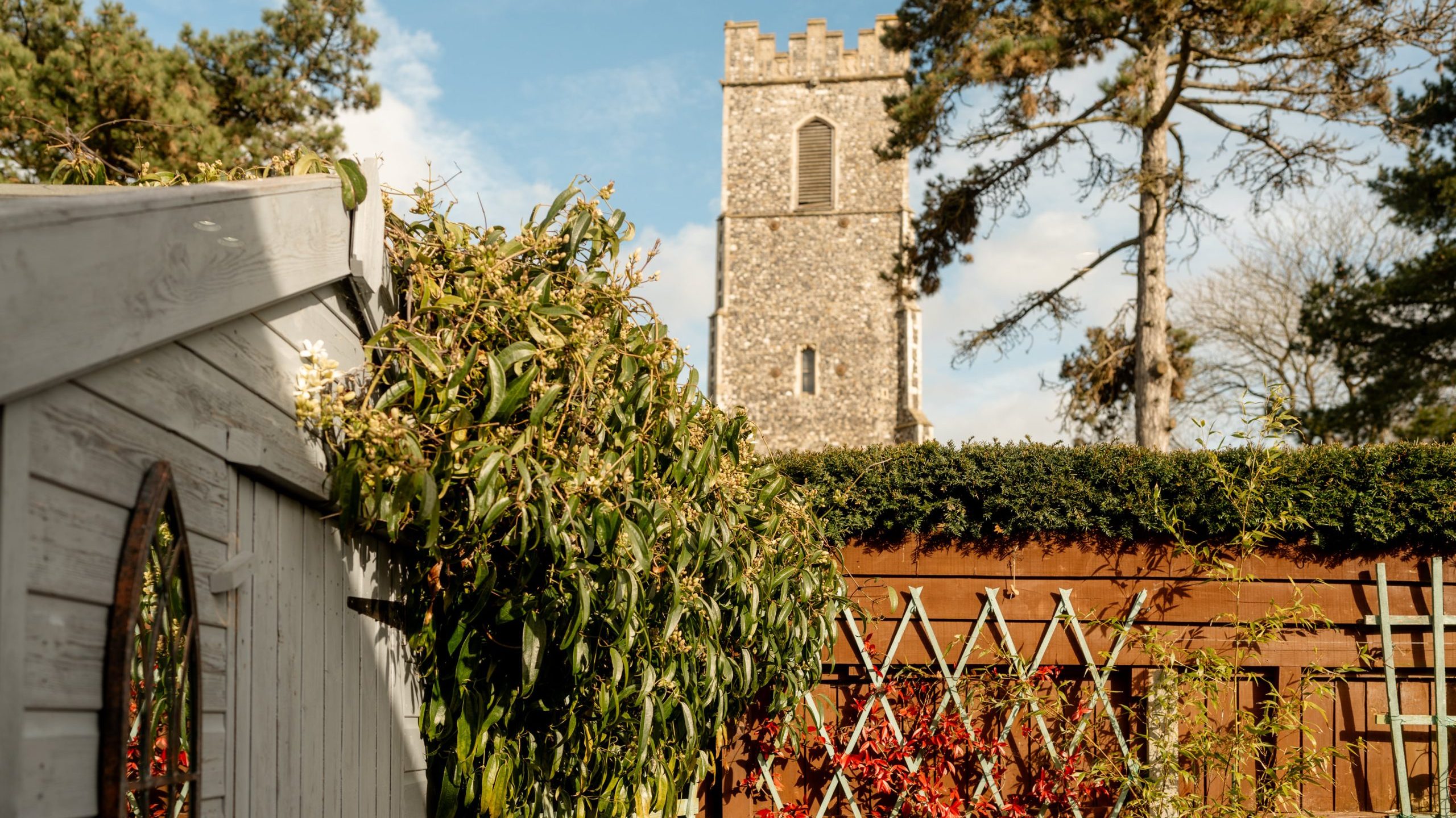 Church tower in the background surrounded by trees and a blue sky, with a wooden shed and a brown fence covered in greenery and red foliage in the foreground.