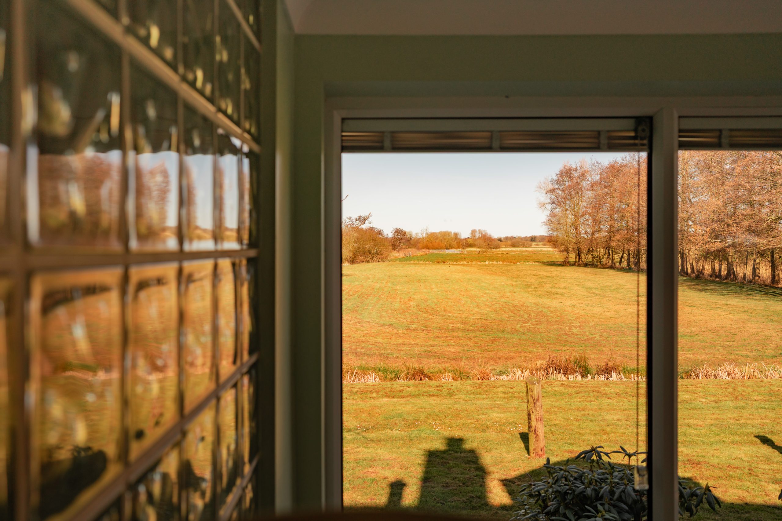 View through a window showing a sunny, open field with grassy terrain and scattered trees. The interior wall has a glass block design, and shadows of window frames are cast on the floor.