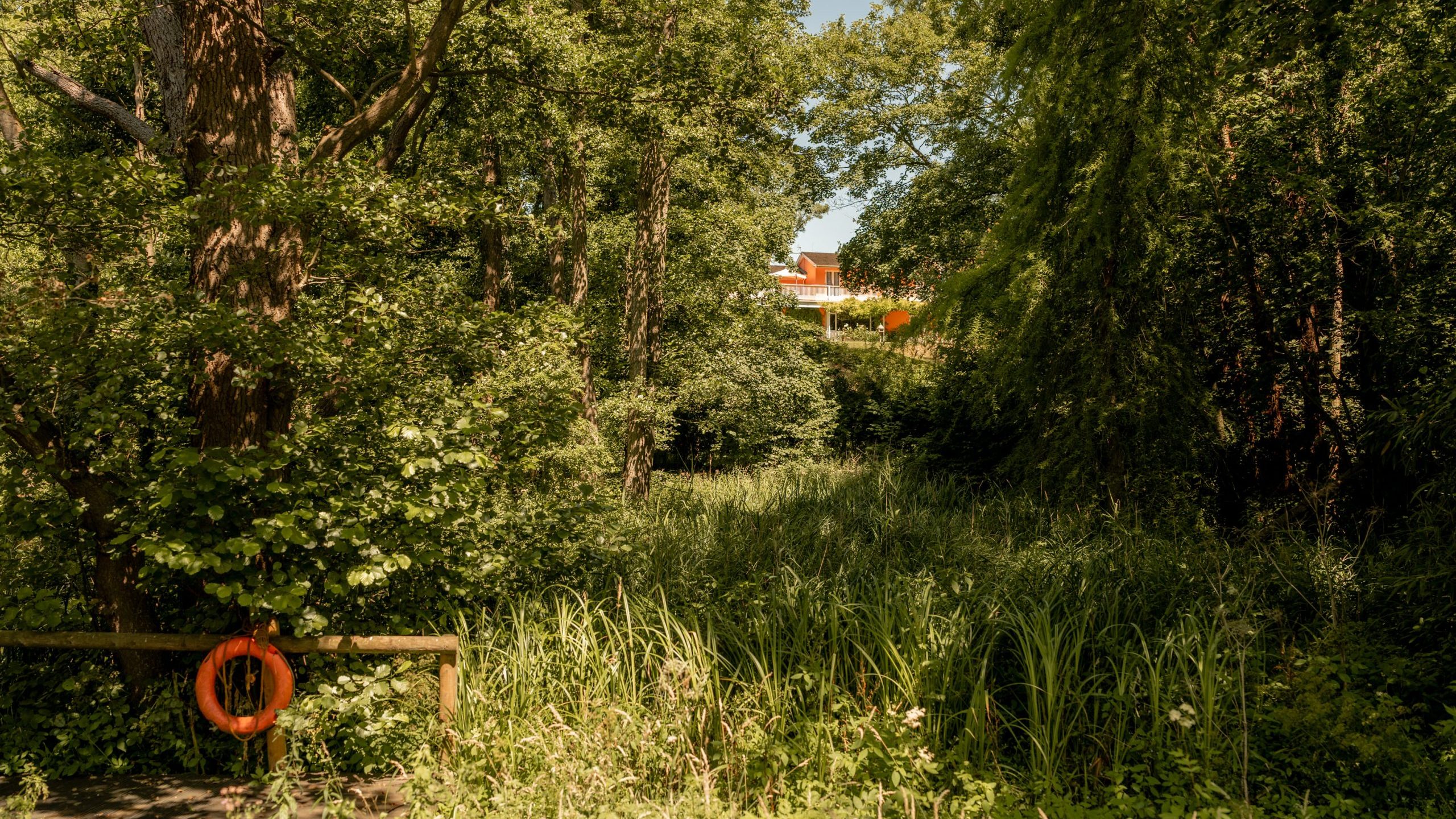 A lush, green forest scene with tall grass and dense trees. A wooden fence with an orange life ring hangs in the foreground, and a glimpse of a red-roofed building is visible through the trees in the background.