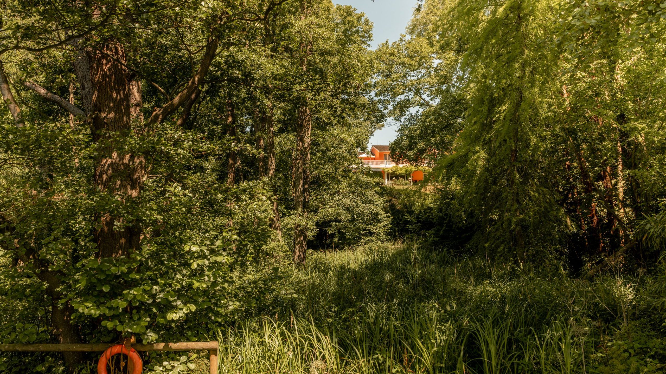 Dense green forest with tall grass and leafy trees. A wooden fence with an orange lifebuoy hangs in the foreground, while a building with a red roof is partially visible in the background through the trees.
