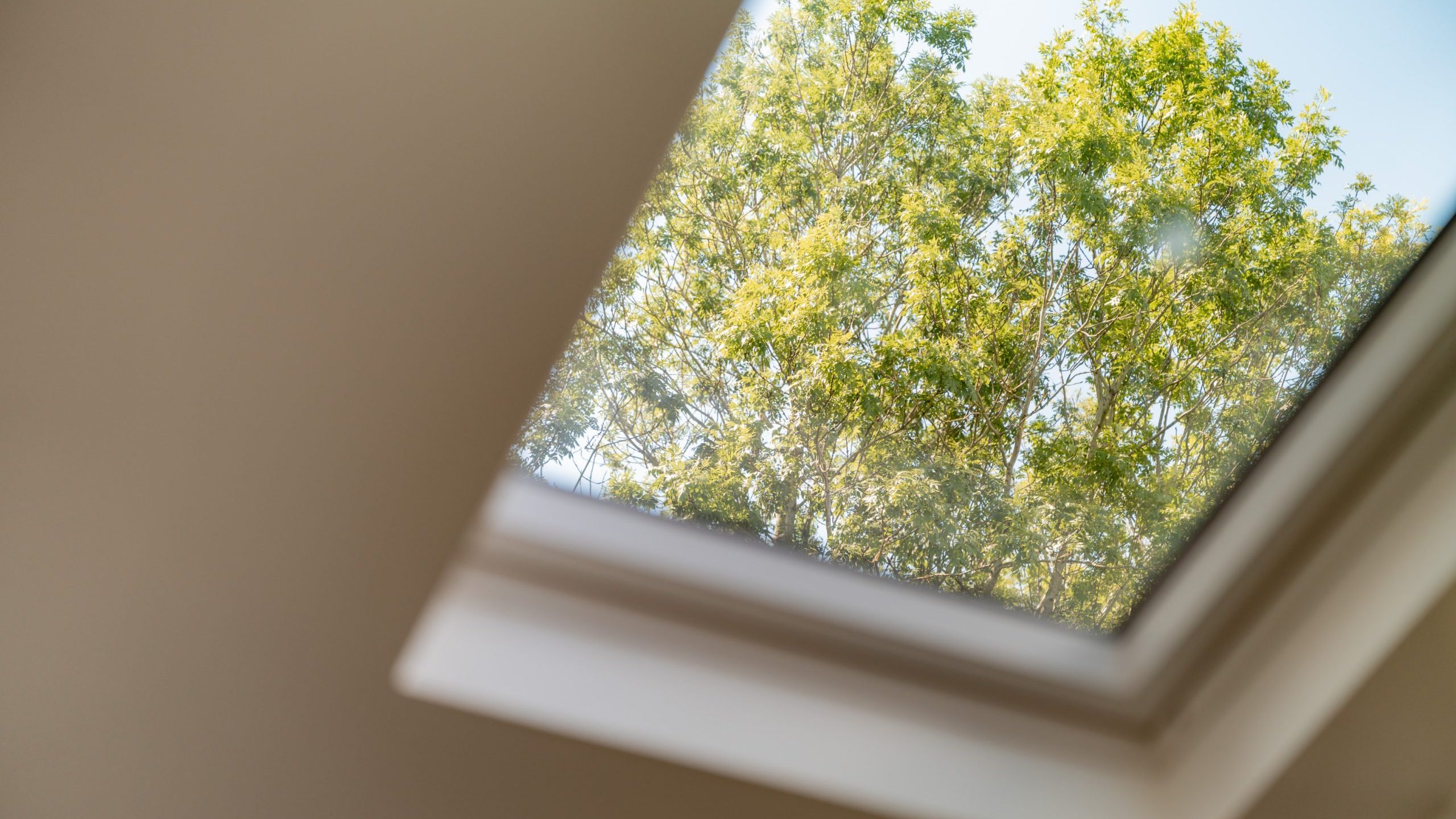 A view of green leafy tree branches and blue sky seen through a rectangular skylight window from indoors, with soft sunlight illuminating the scene.