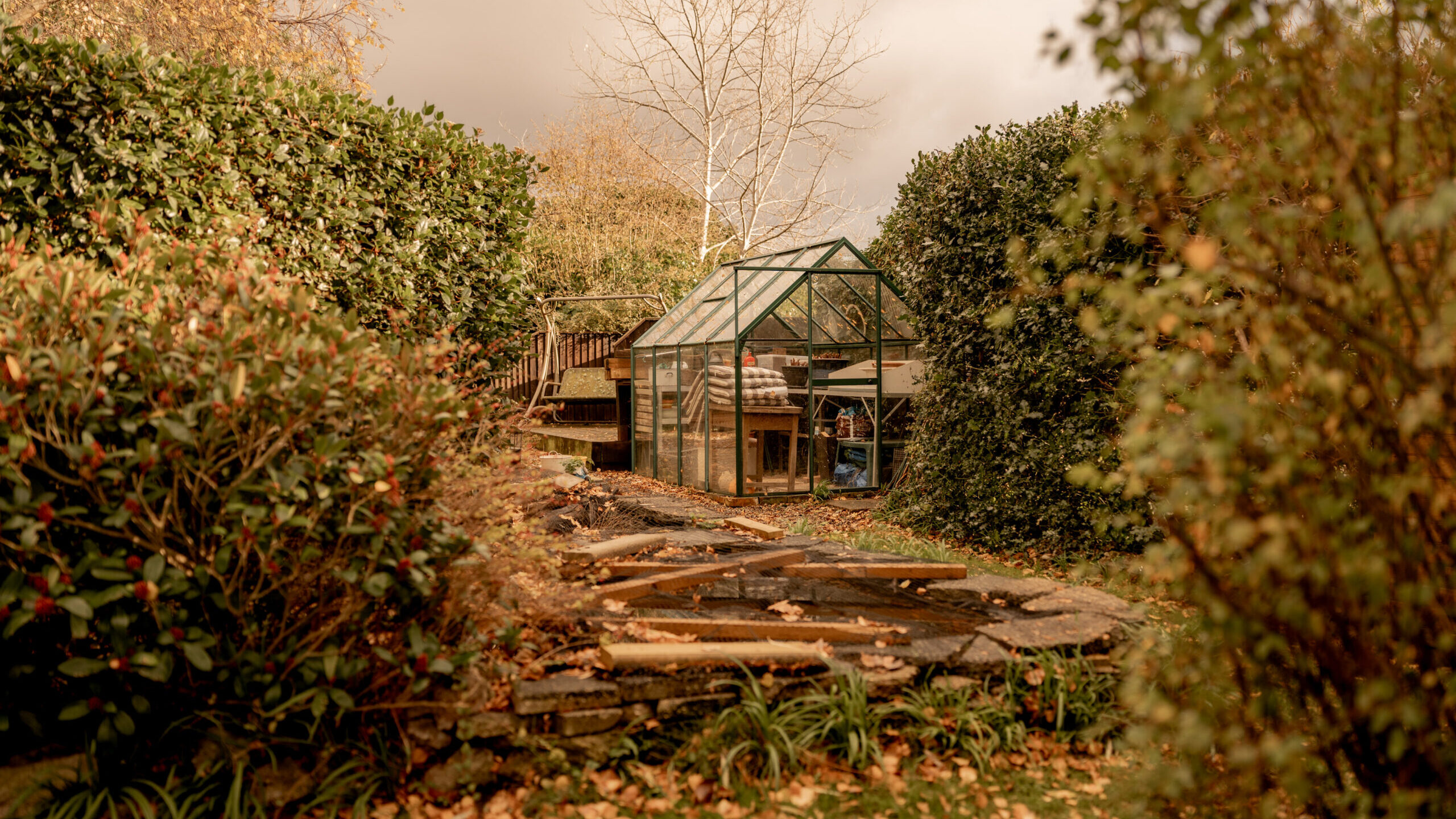 A glass greenhouse sits in a garden surrounded by autumn foliage and green hedges, with wooden planks and scattered leaves on the ground leading up to it.