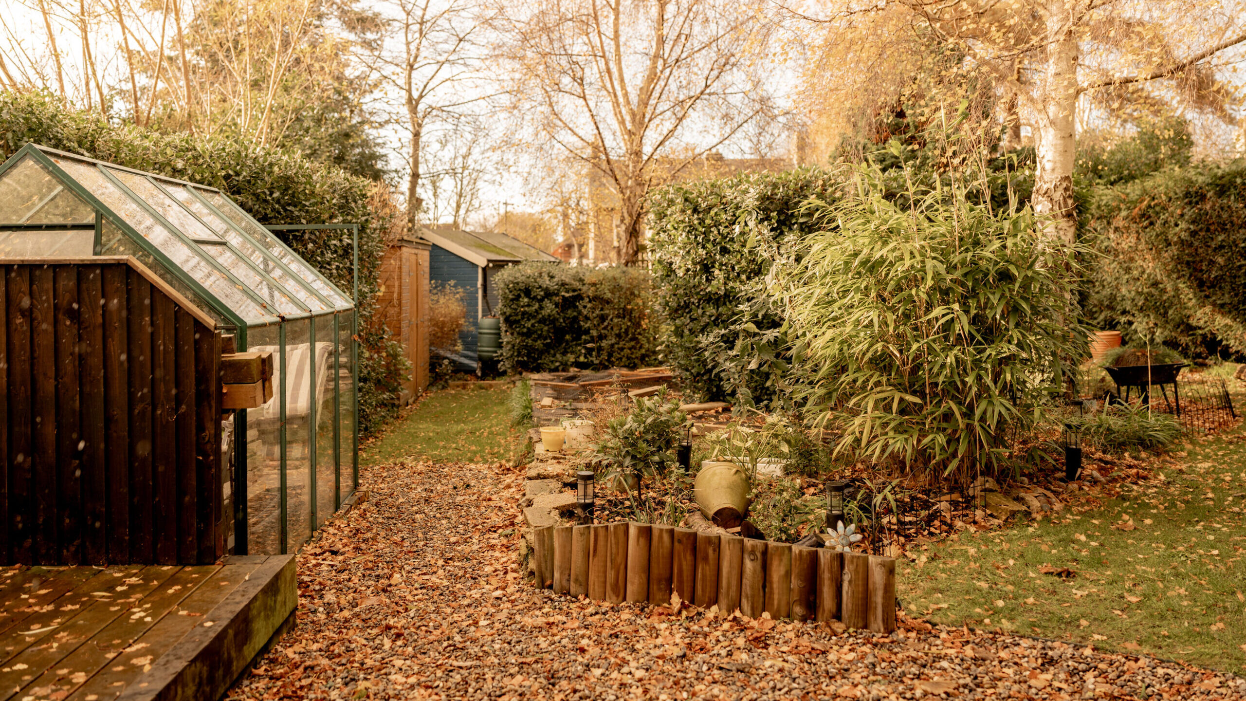 A backyard garden in autumn with a glass greenhouse, wooden garden bed borders, fallen leaves on the ground, various plants, and trees with golden foliage. A small blue shed is visible in the background.