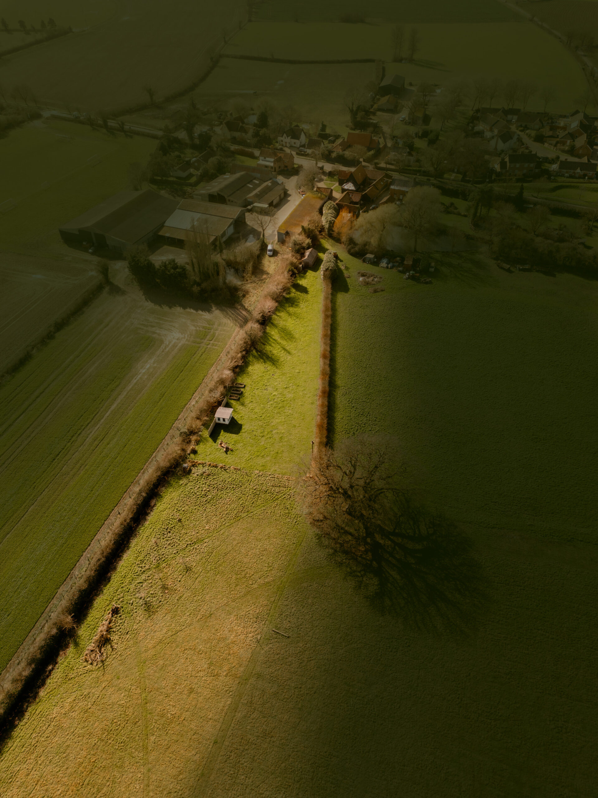Aerial view of a rural landscape with fields, a narrow dirt road lined with hedges, small farm buildings, and a village in the background, partially covered in sunlight and shadow.