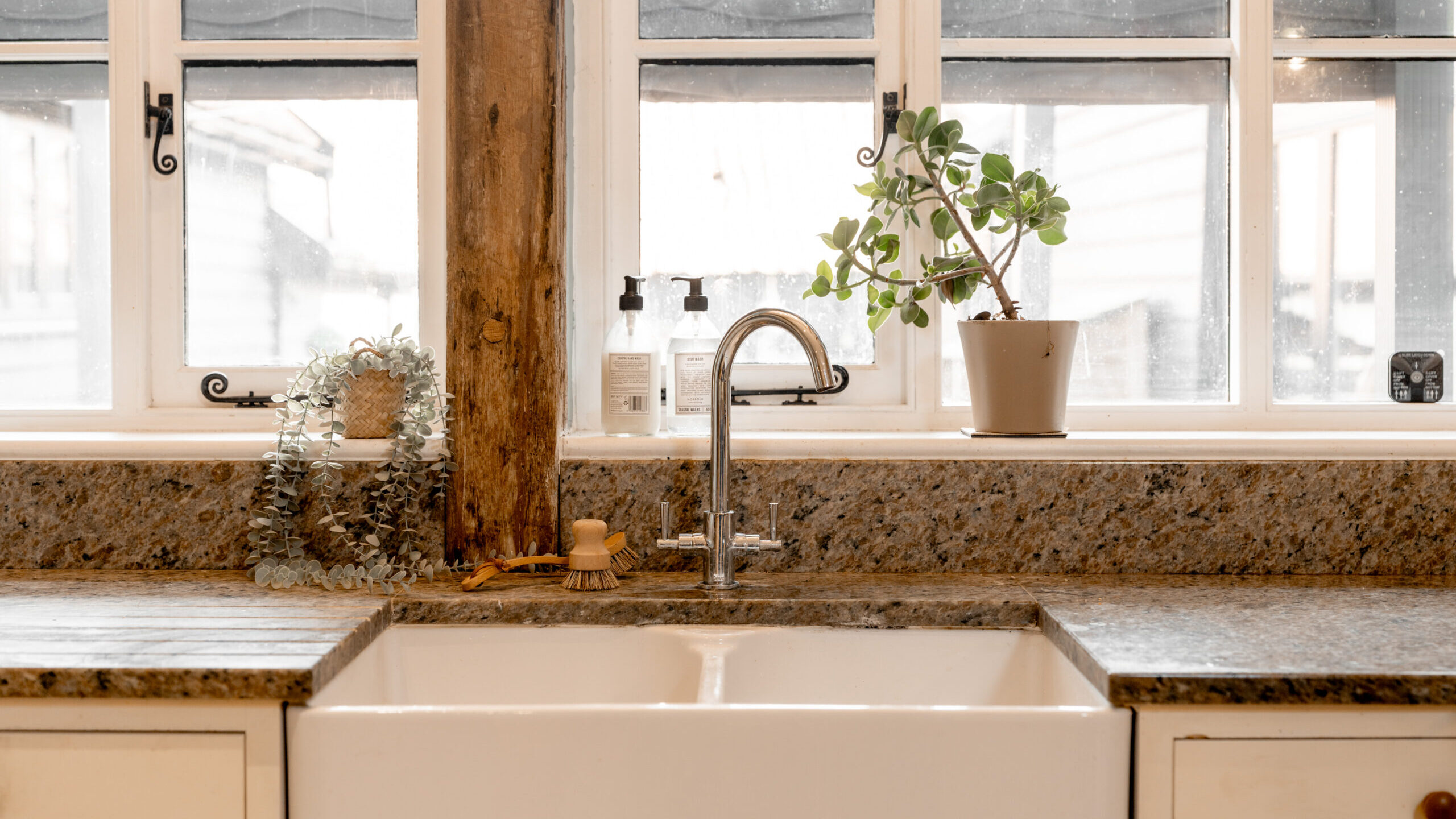 A farmhouse-style kitchen sink with a silver faucet, granite countertops, and white cabinets. Houseplants and soap dispensers are on the windowsill behind the sink, and large windows provide natural light.