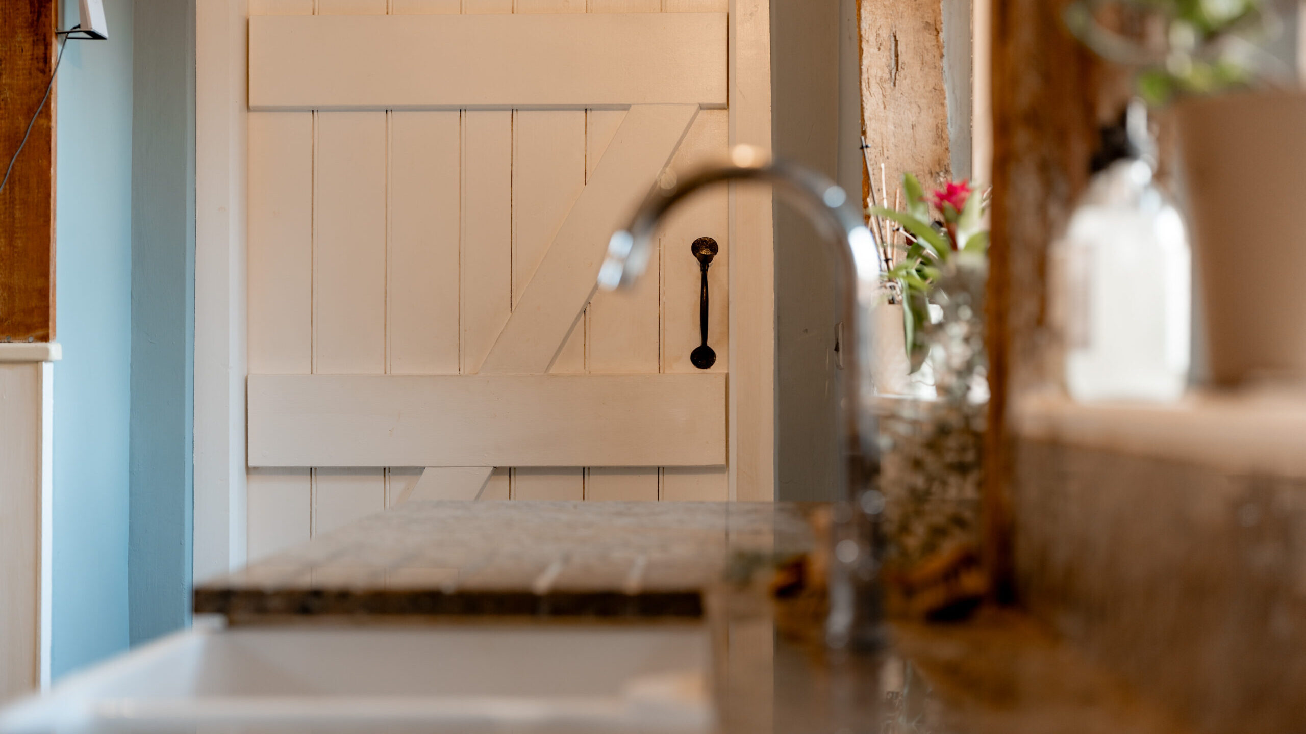 Close-up of a kitchen sink and countertop with a blurred view of a white wooden barn-style door in the background. There are some plants and natural light coming through a nearby window.