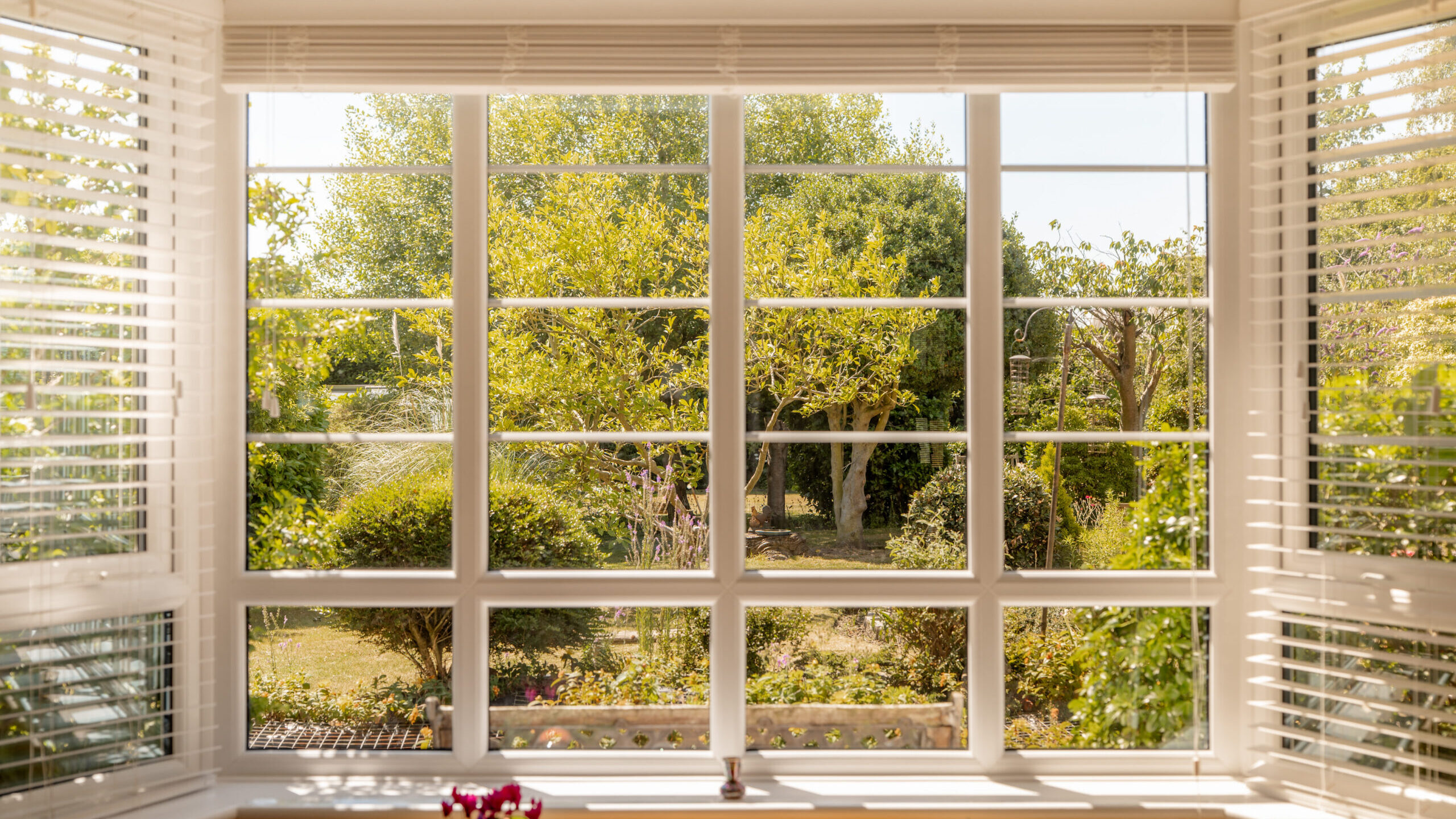 A bright garden with green trees and shrubs seen through a large, white-paned window with open blinds; potted plants sit on the windowsill inside.