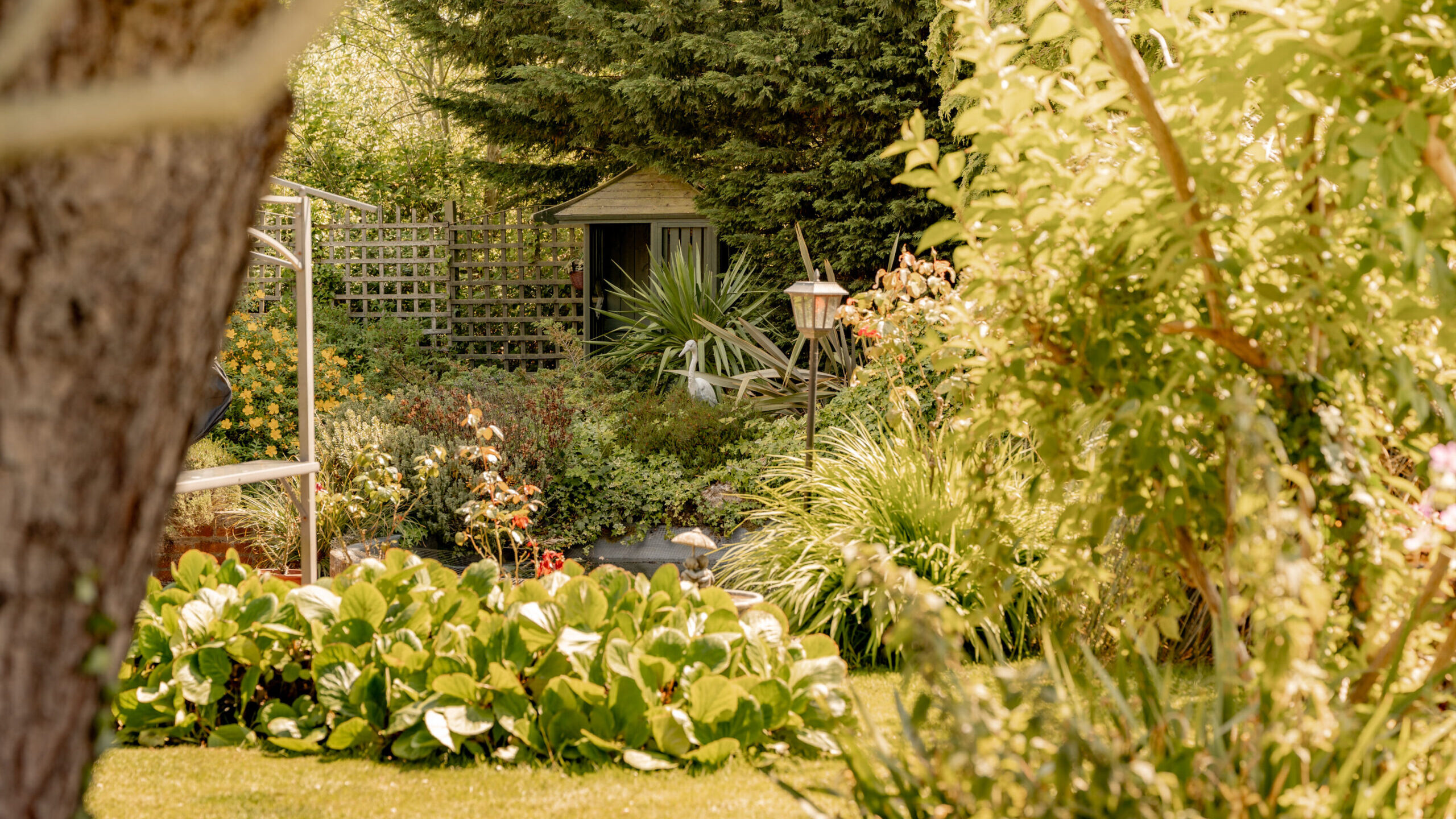 A lush garden with green plants, shrubs, and flowers, featuring a small wooden shed and a lamppost partially hidden among foliage, all bathed in warm sunlight.