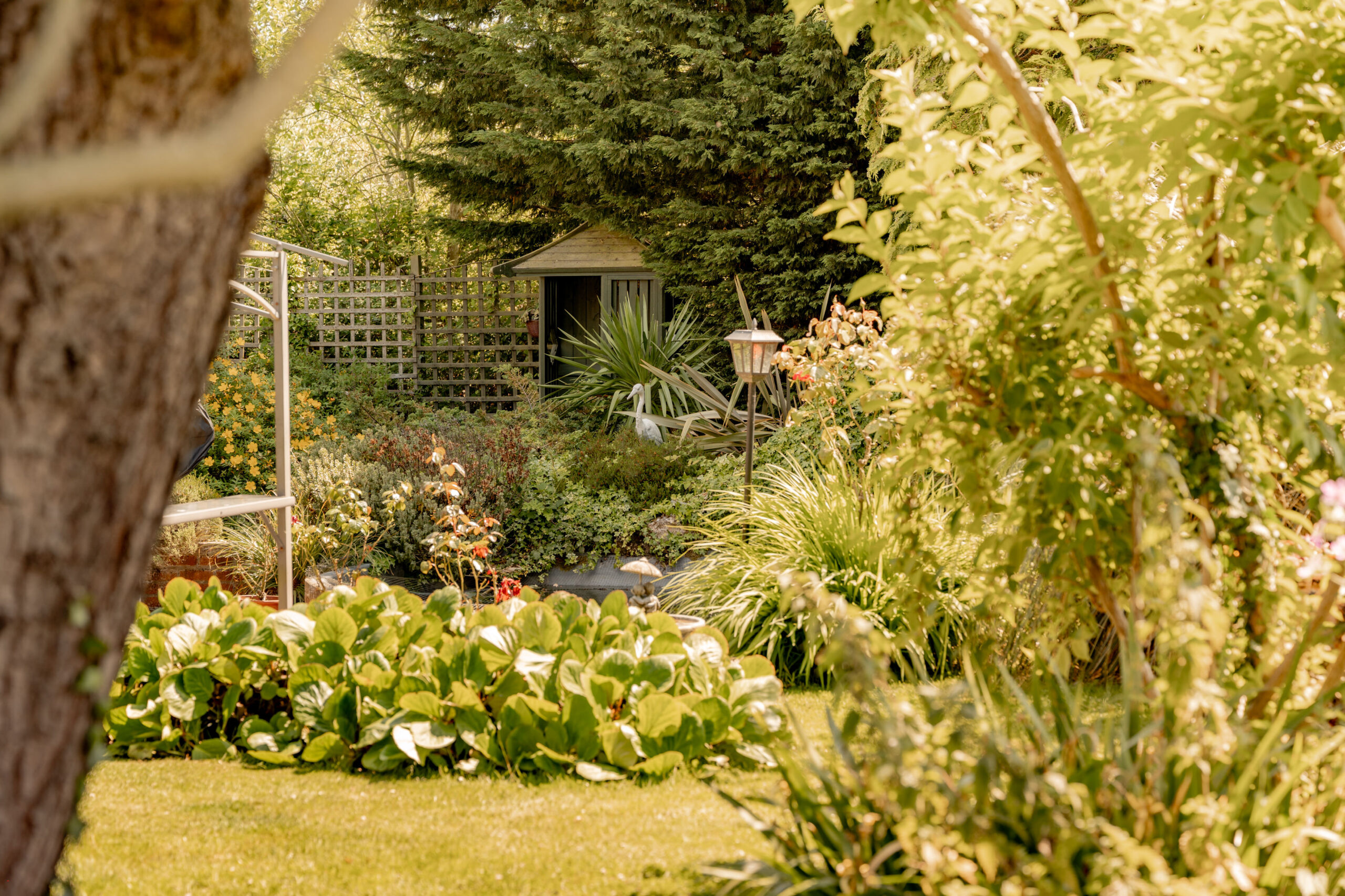 A lush garden with green plants, shrubs, and flowers, featuring a small wooden shed and a lamppost partially hidden among foliage, all bathed in warm sunlight.