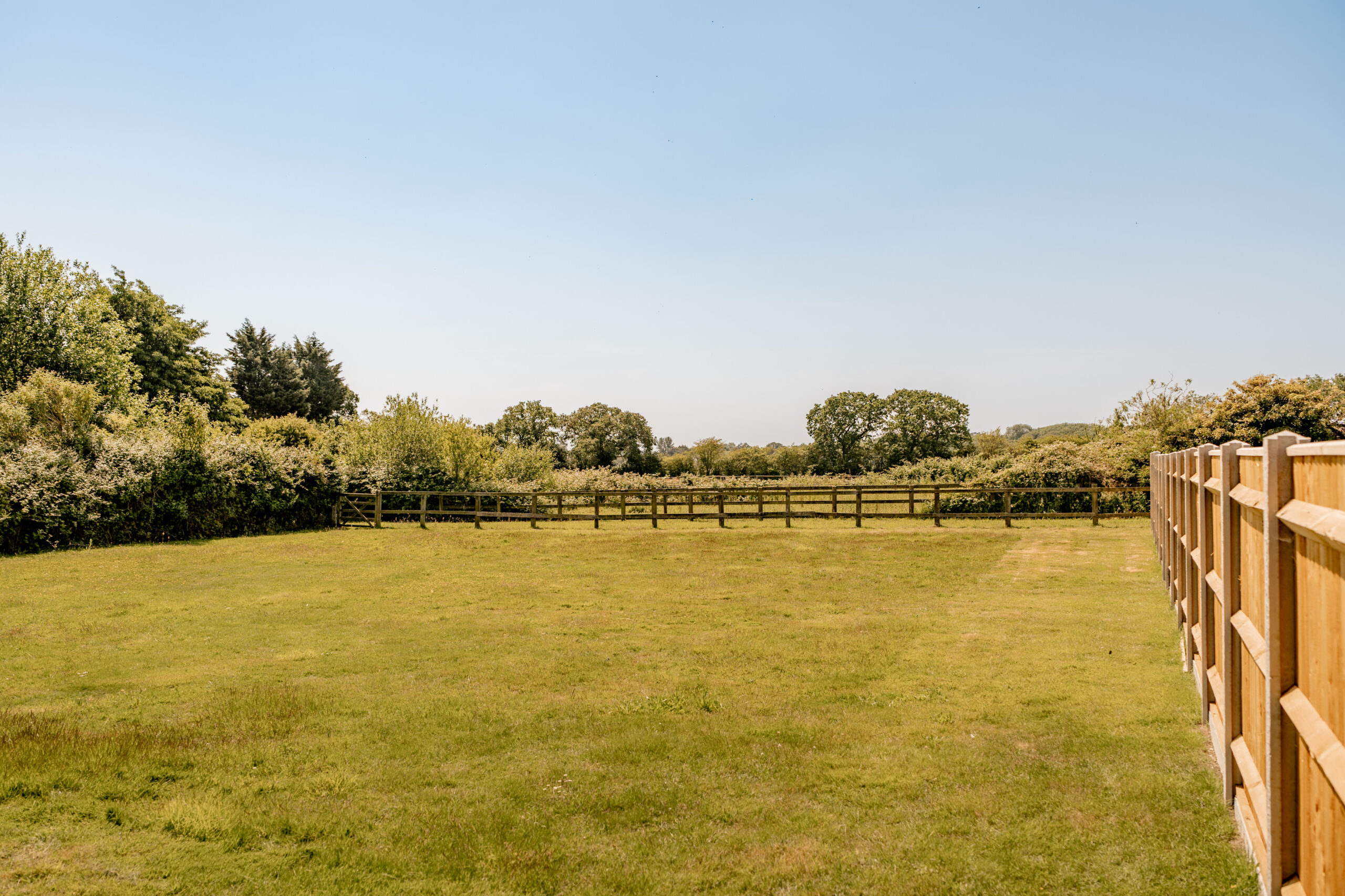 A grassy, fenced field on a clear, sunny day, with trees and bushes lining the perimeter and a blue sky overhead.