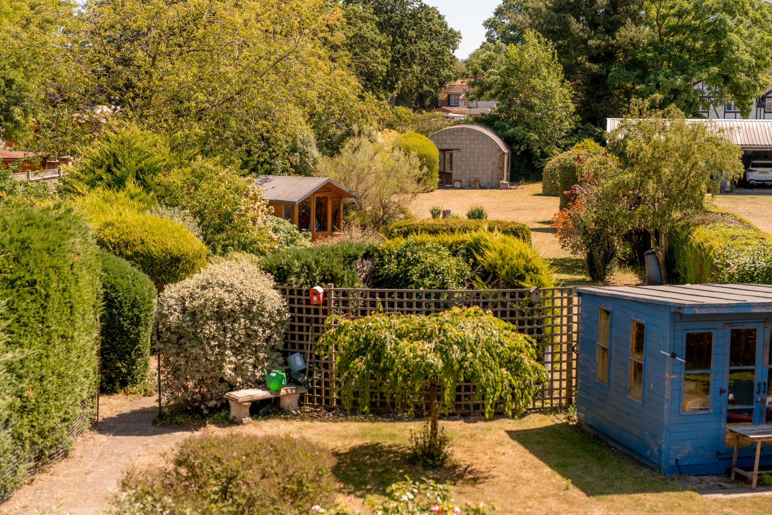 A sunny garden with lush green bushes, a wooden bench, a trellis, a blue shed in the foreground, and a brown shed and large trees in the background. The lawn and plants are neatly maintained.