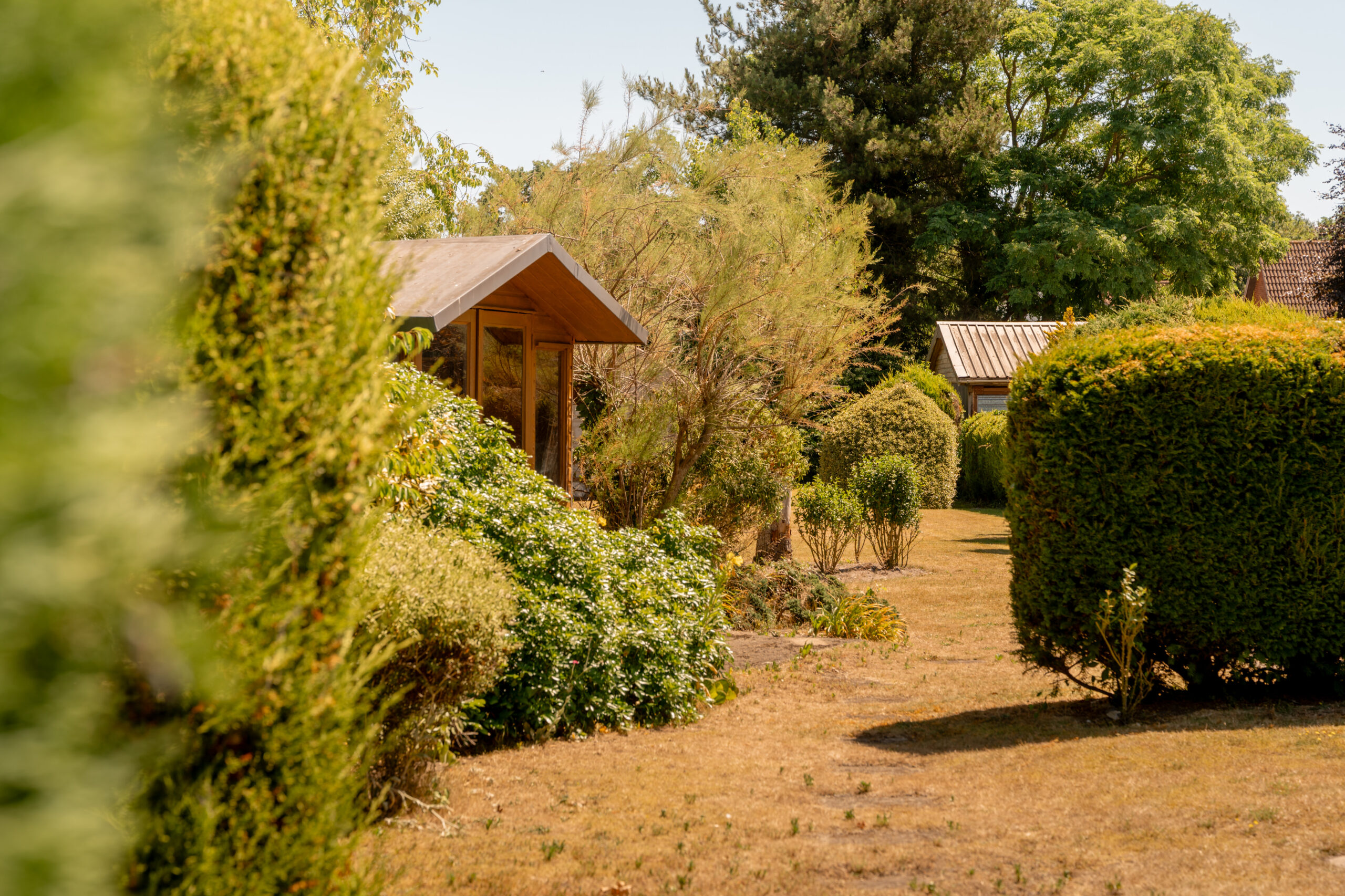 A garden scene with trimmed bushes, green trees, and two wooden garden sheds surrounded by lush greenery on a sunny day.