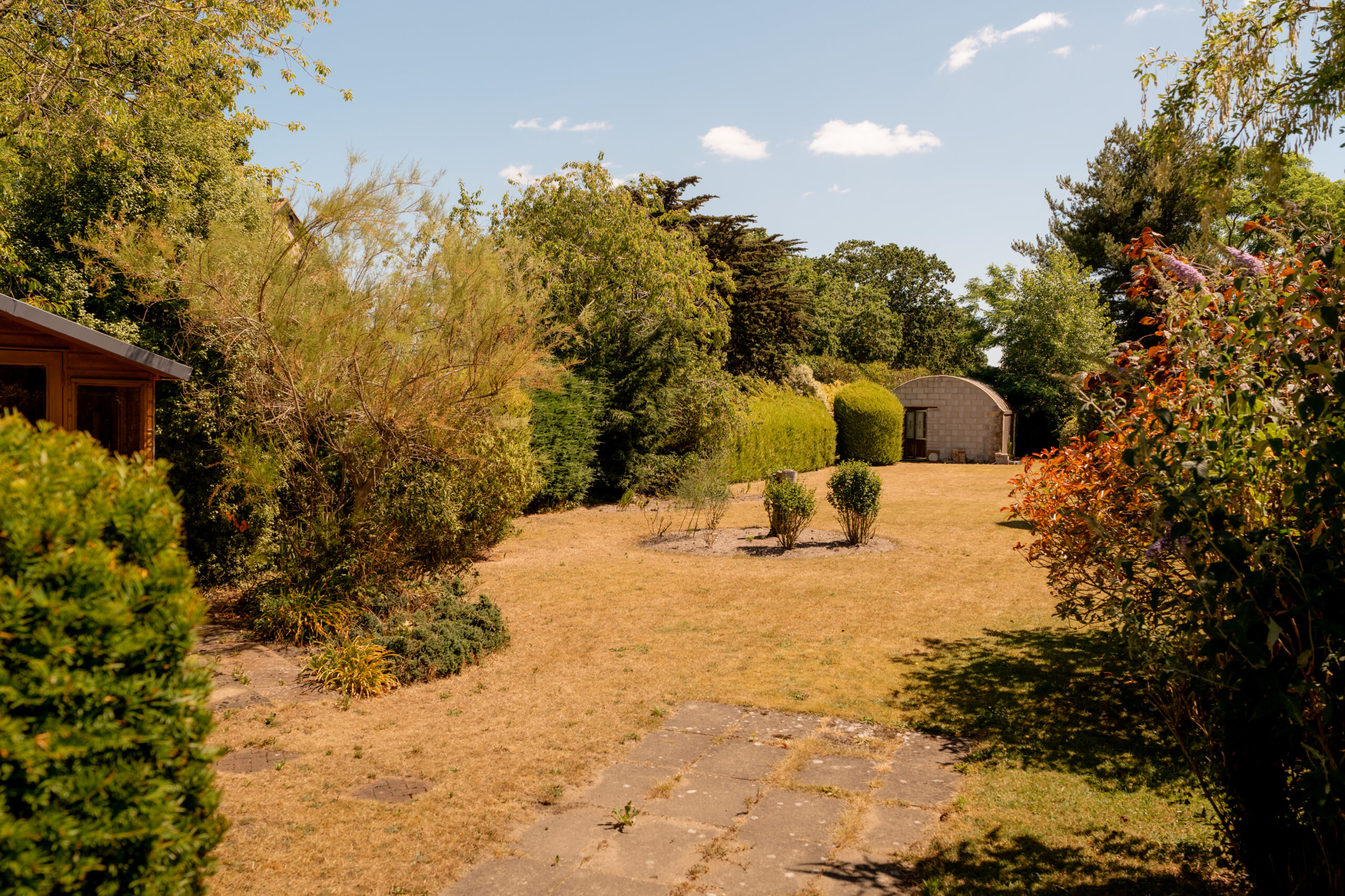 A spacious backyard garden with yellowed grass, scattered shrubs, green trees, a paved path in the foreground, a wooden shed on the right, and a clear blue sky with a few clouds.