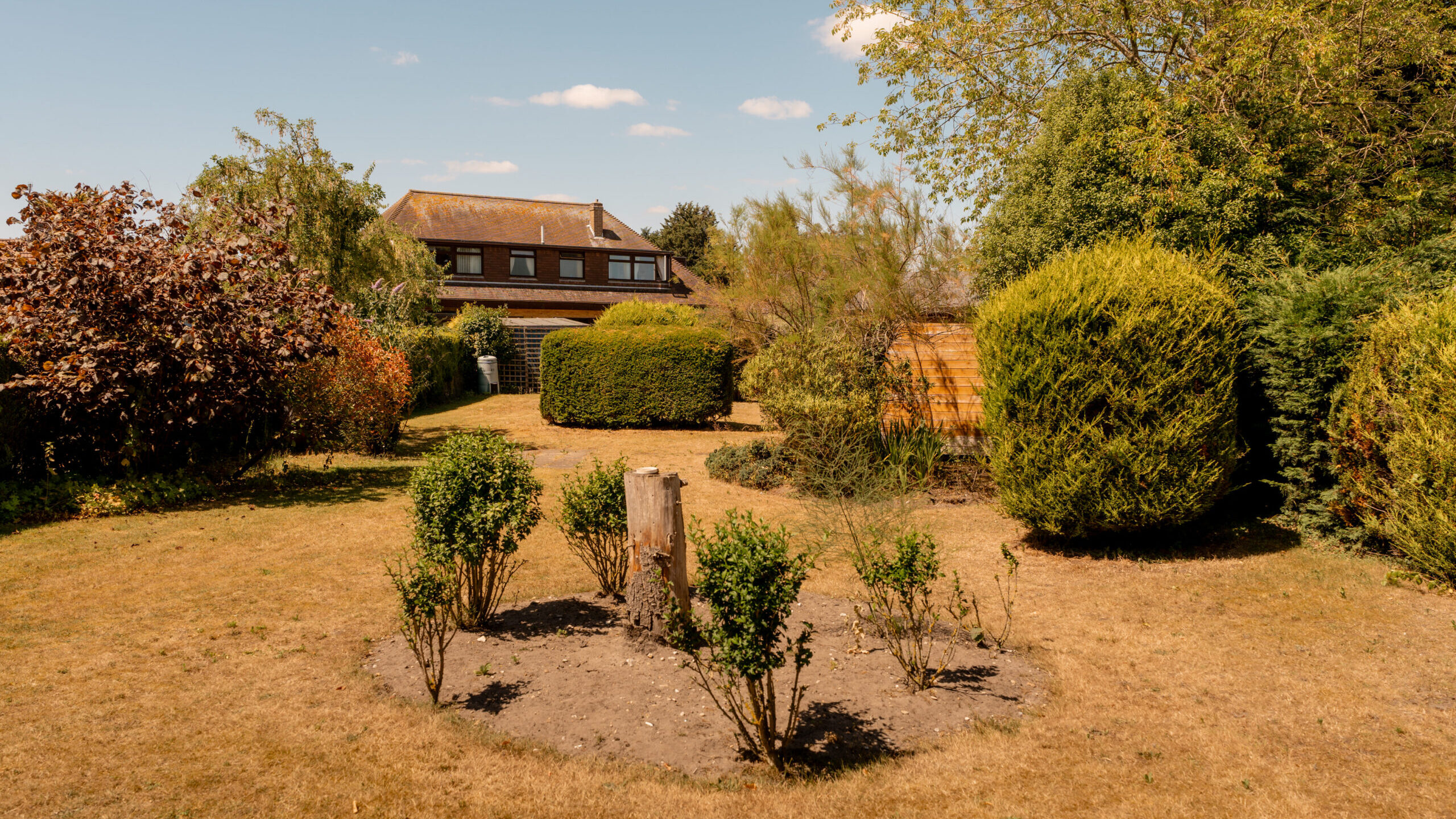 A large backyard with dry yellow grass, several green bushes, a circular flower bed with small shrubs, and a two-story house in the background surrounded by trees and hedges under a blue sky.