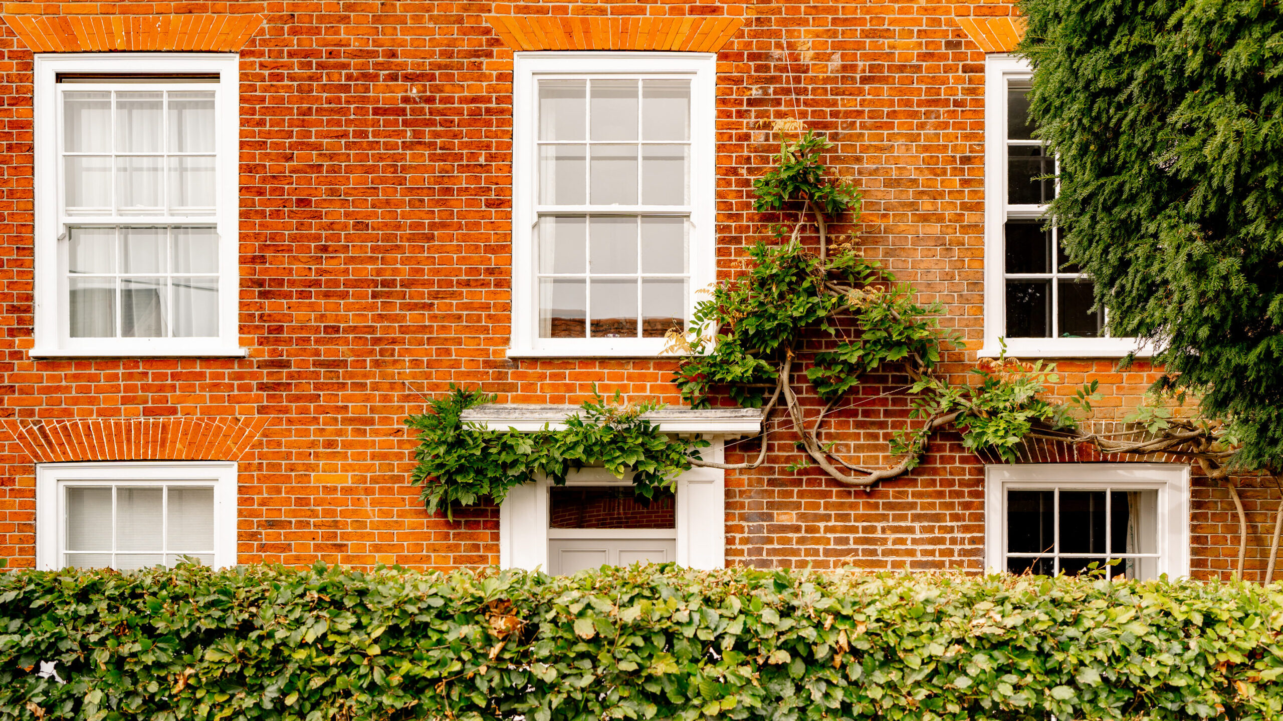 A red brick house with white-trimmed windows, green vines climbing near the door, and a tall hedge in front partially covering the lower part of the building.