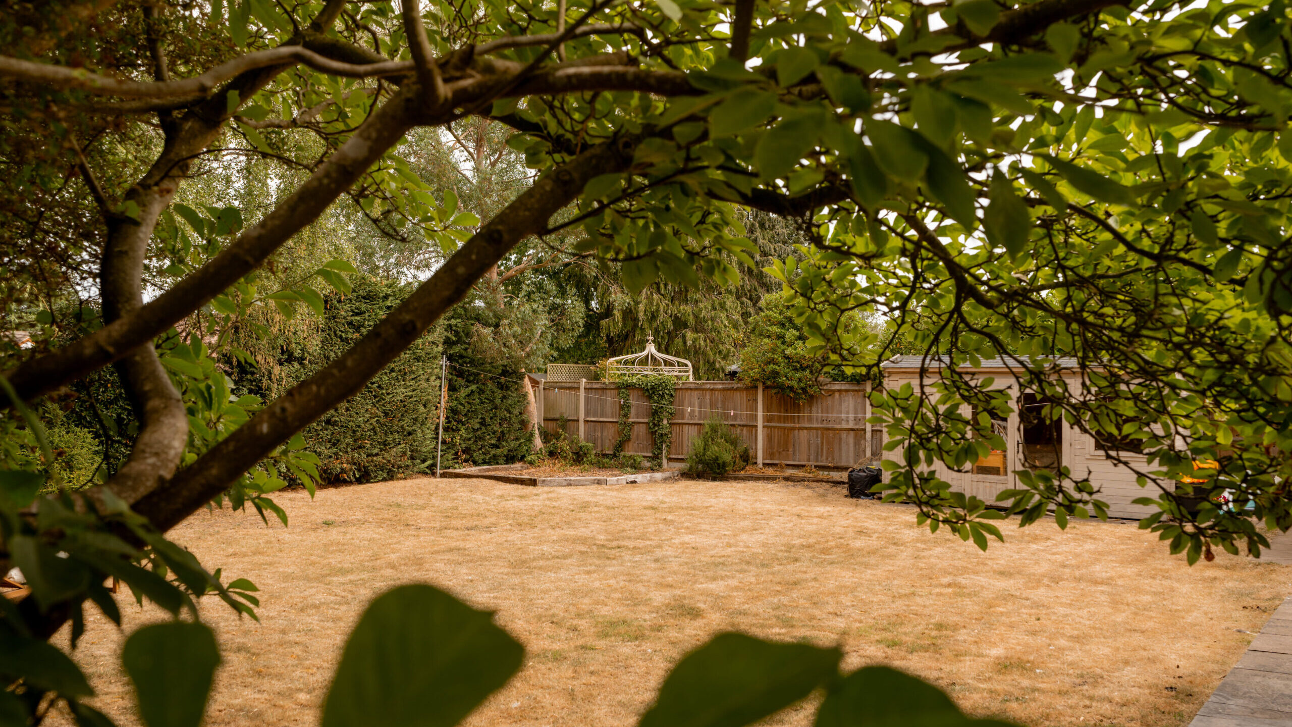 A backyard with dry yellow grass, bordered by a wooden fence and tall trees, a gazebo in the back corner, and a small shed to the right, viewed through leafy branches.