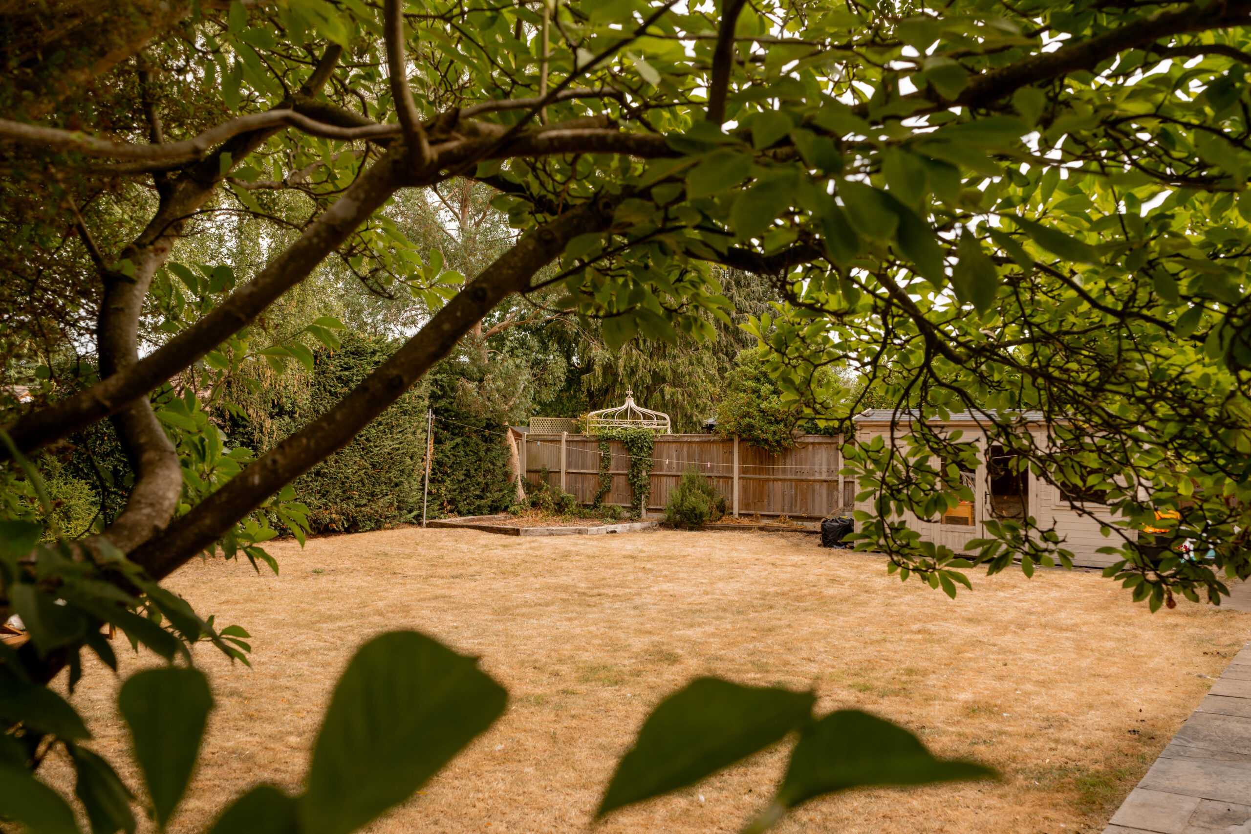 A backyard with dry yellow grass, bordered by a wooden fence and tall trees, a gazebo in the back corner, and a small shed to the right, viewed through leafy branches.