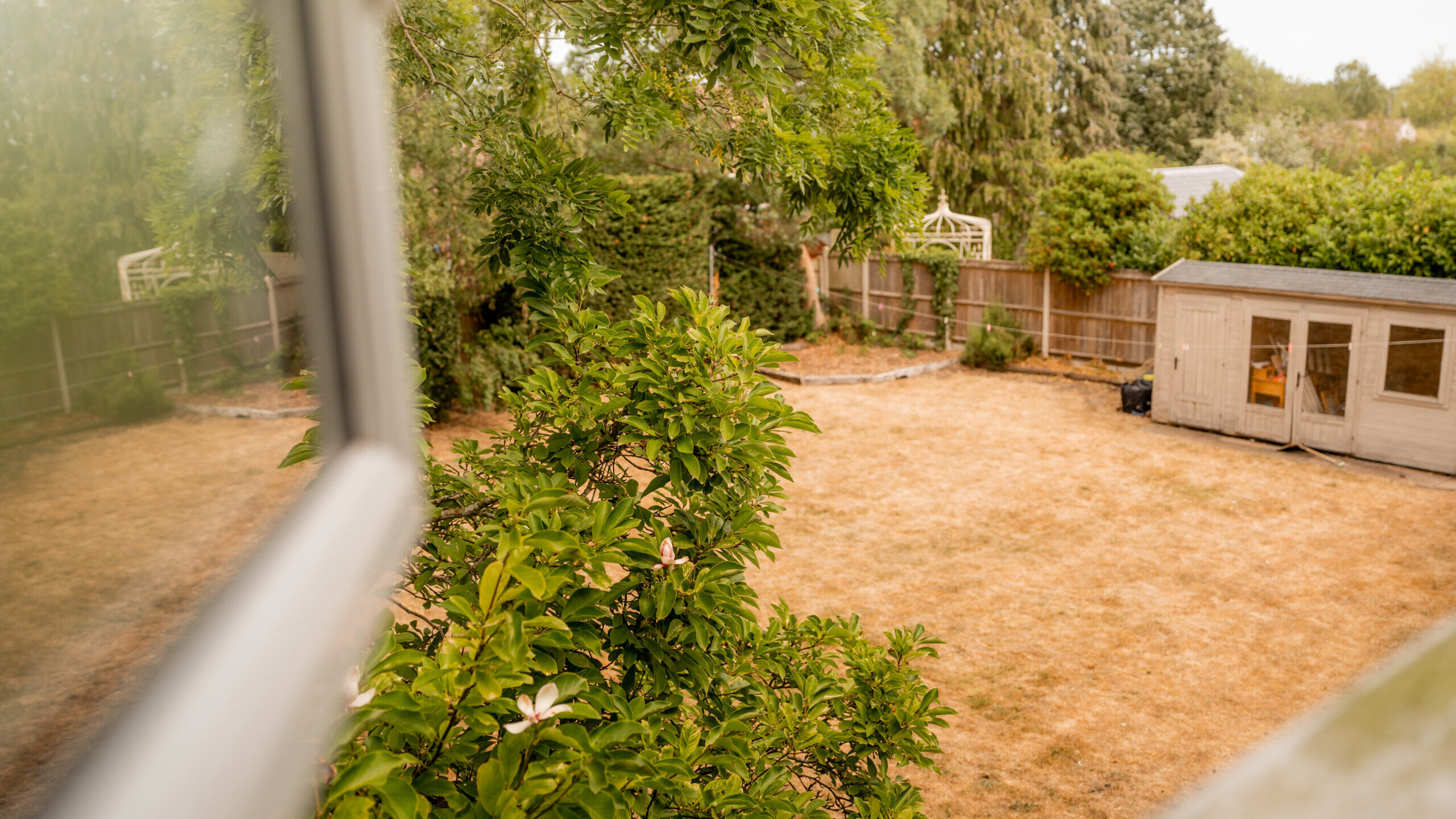 View of a backyard with dry grass, a green leafy tree, a wooden shed, and a wooden fence, seen from an open window. Some small garden structures are visible in the background.