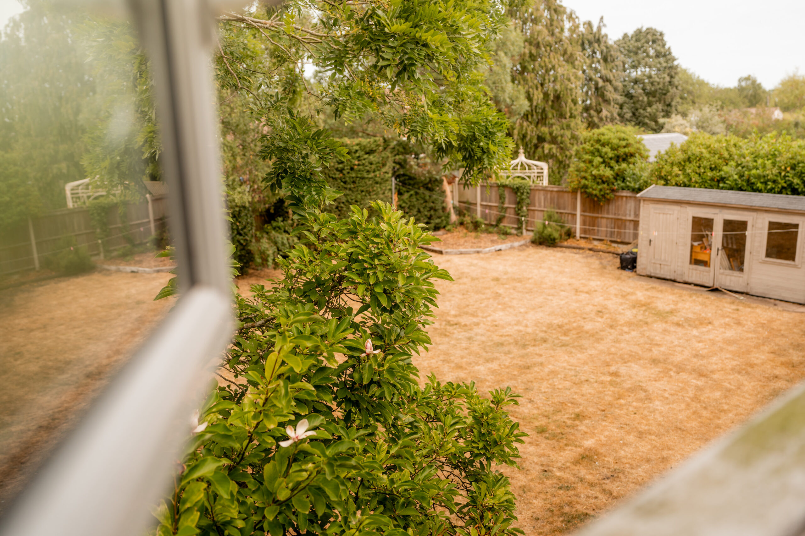 View of a backyard with dry grass, a green leafy tree, a wooden shed, and a wooden fence, seen from an open window. Some small garden structures are visible in the background.